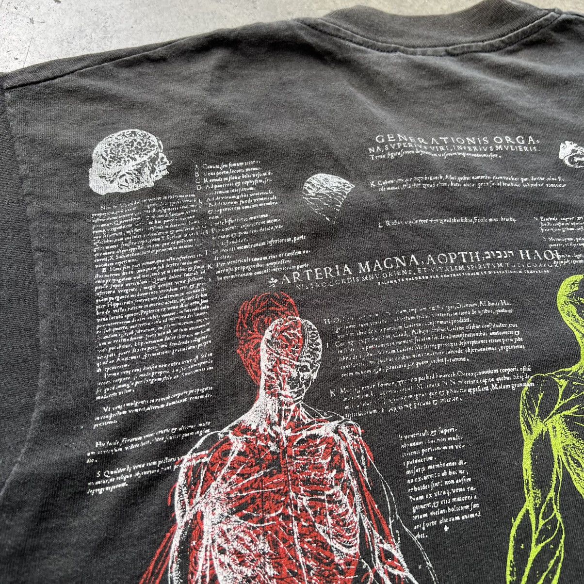 Fruit Of The Loom VTG ‘90s Andreas Vesalius Man Anatomy Art Tee Shirt Size US L / EU 52-54 / 3 - 9 Thumbnail