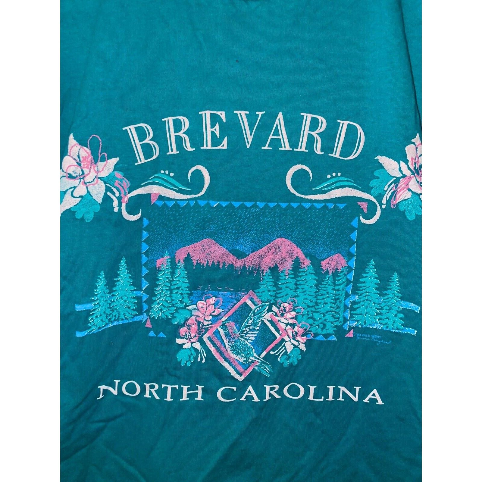 Jerzees Vintage Brevard North Carolina Shirt teal Tee VTG 90s Medium Size US M / EU 48-50 / 2 - 3 Thumbnail