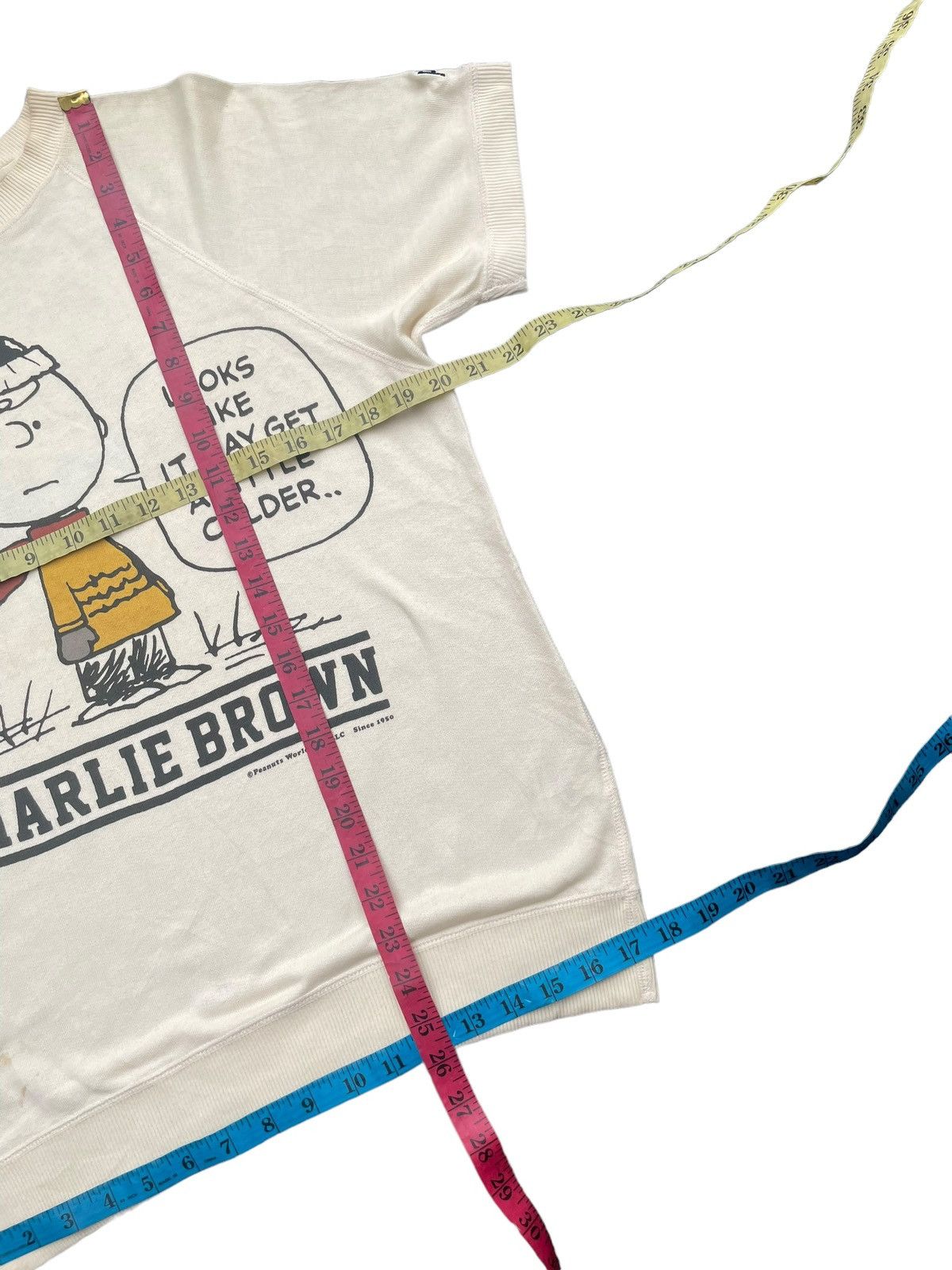 Peanuts Charlie Brown x Uniqlo Sweatshirt Size US M / EU 48-50 / 2 - 8 Thumbnail