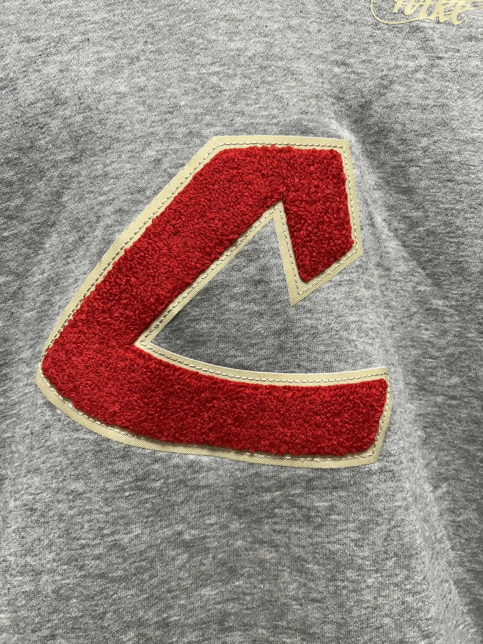 Nike Nike Gray Pullover Hoodie with Cavaliers Applique Logo Size US L / EU 52-54 / 3 - 2 Thumbnail
