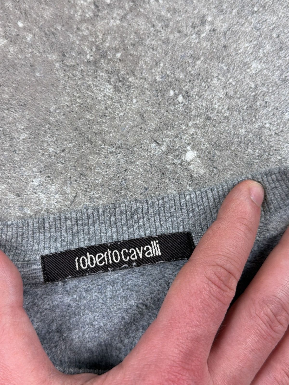 Roberto Cavalli Roberto Cavalli Big Logo crewneck Size US L / EU 52-54 / 3 - 3 Thumbnail