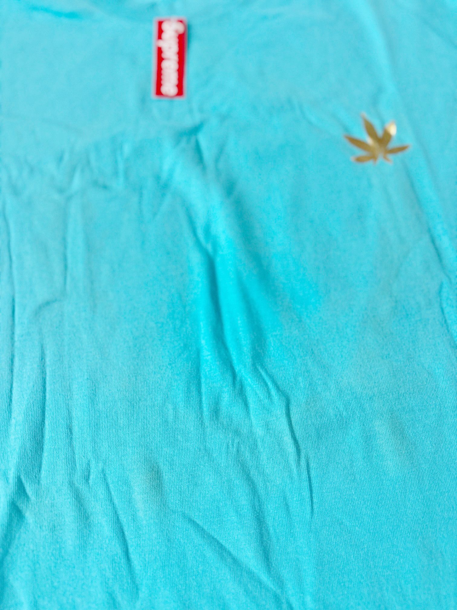 Supreme DS 2002 Supreme The Chronic Weed Logo Dr Dre T-Shirt Size US L / EU 52-54 / 3 - 8 Thumbnail