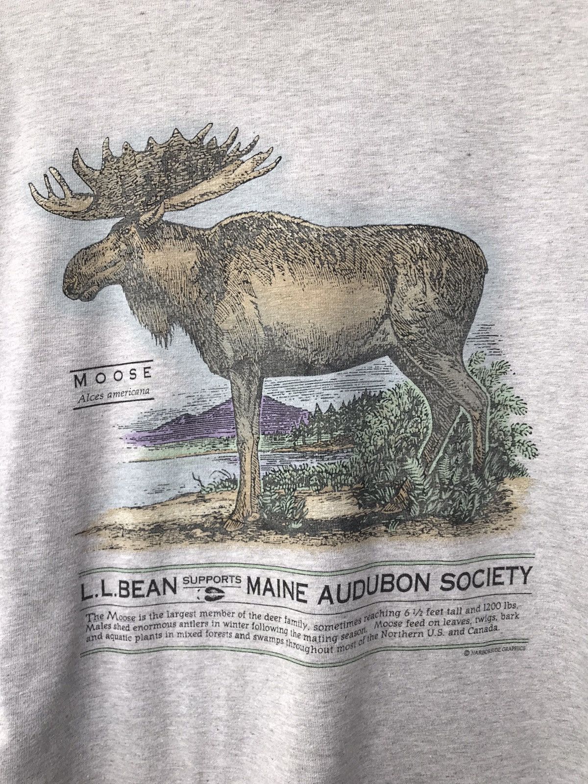 L.L. Bean Vintage L.L Bean Moose Alces Americana Tee Size US M / EU 48-50 / 2 - 8 Thumbnail