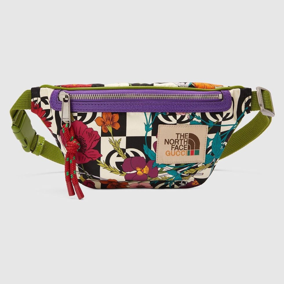 Gucci × The North Face 🔥LIMITED🔥Gucci x North Face Logo Belt Bag Size ONE SIZE - 1 Preview