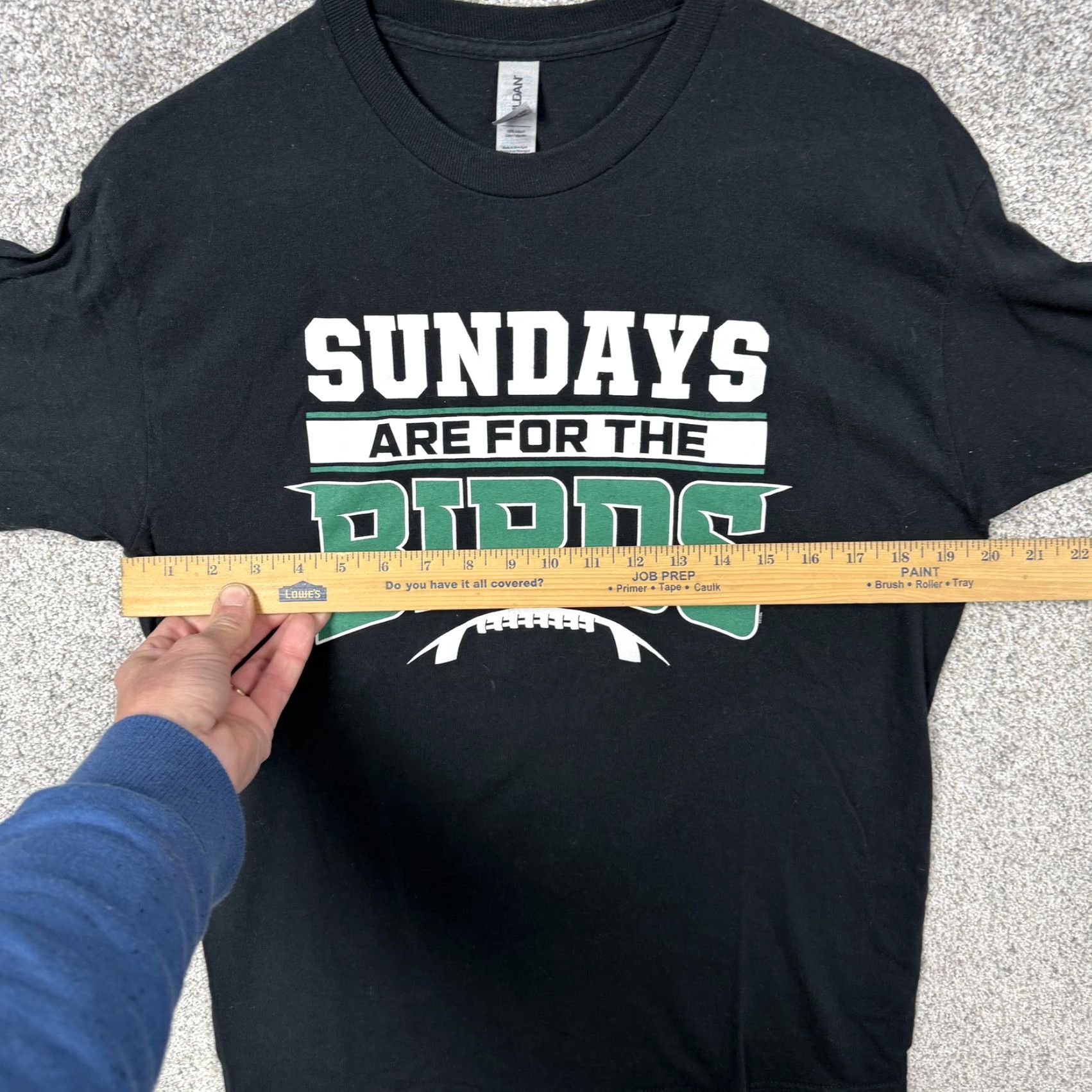Gildan Philadelphia Eagles Mens Long Sleeve T-Shirt Black SUNDAYS ARE FOR THE BIRDS Football Gildan Heavy Cotton M Size US M / EU 48-50 / 2 - 4 Thumbnail