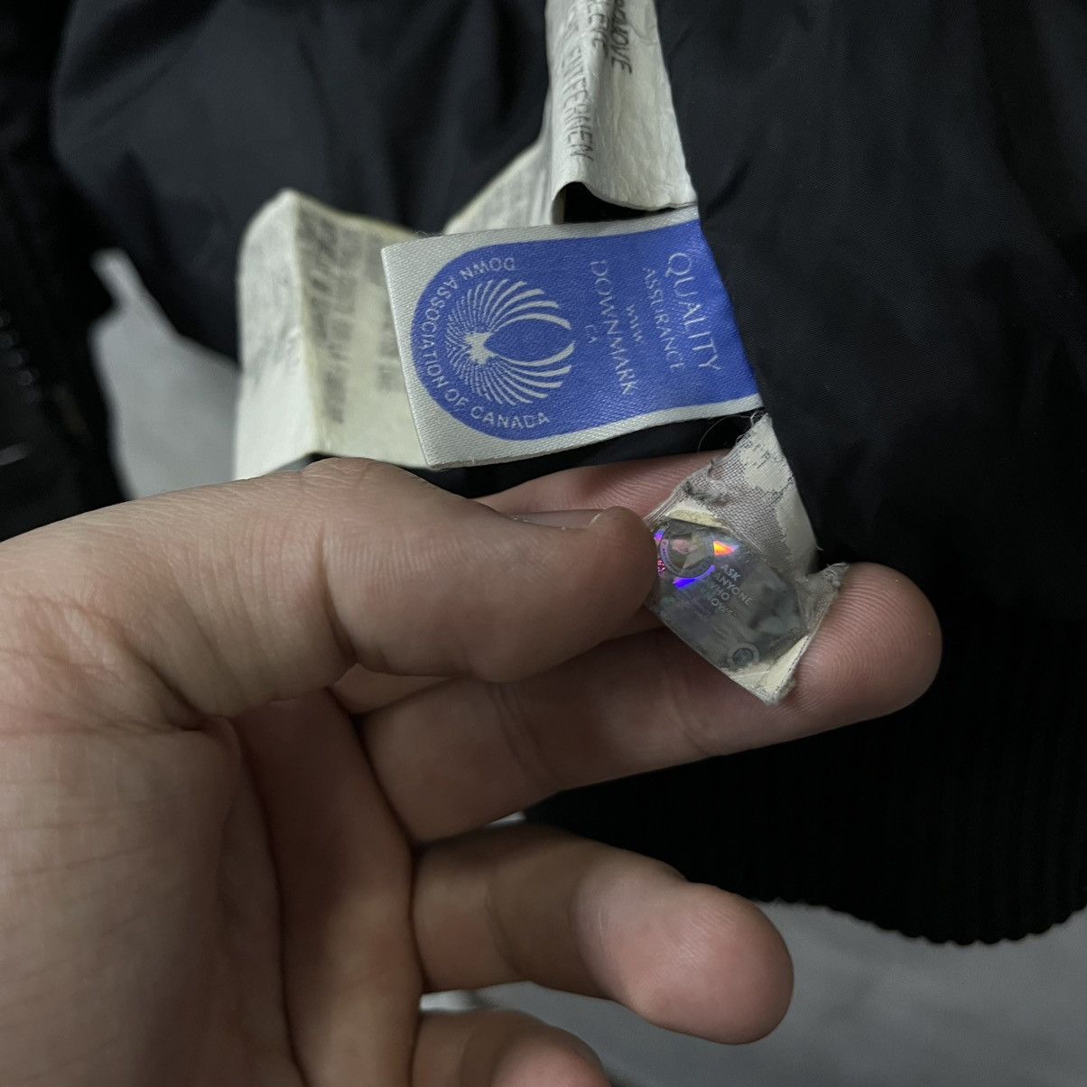 Canada Goose Canada Goose Jacket Black Size US M / EU 48-50 / 2 - 23 Thumbnail