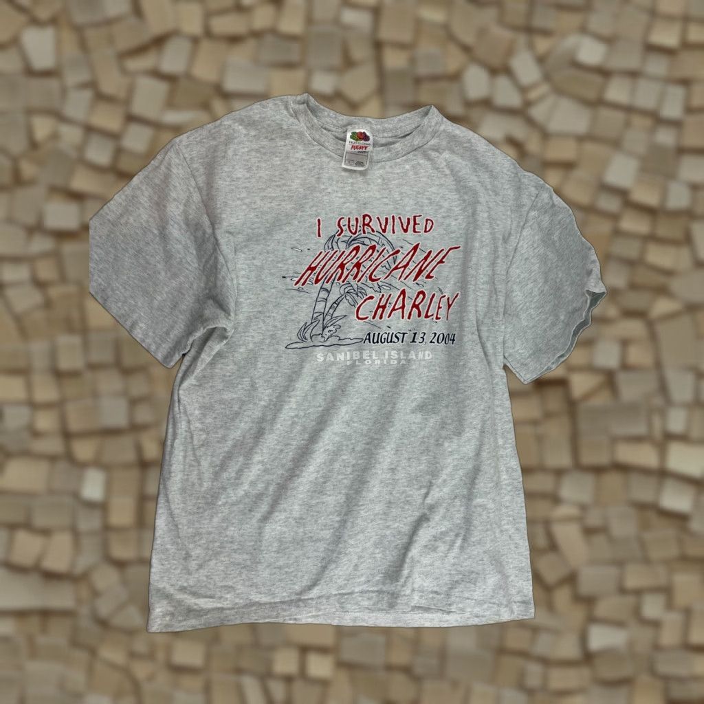 Fruit Of The Loom Fruit of the Loom T-Shirt Mens Size L Gray Heather I Survived Hurricane Charley Shirt Mens L Gray Heather Size US L / EU 52-54 / 3 - 1 Thumbnail