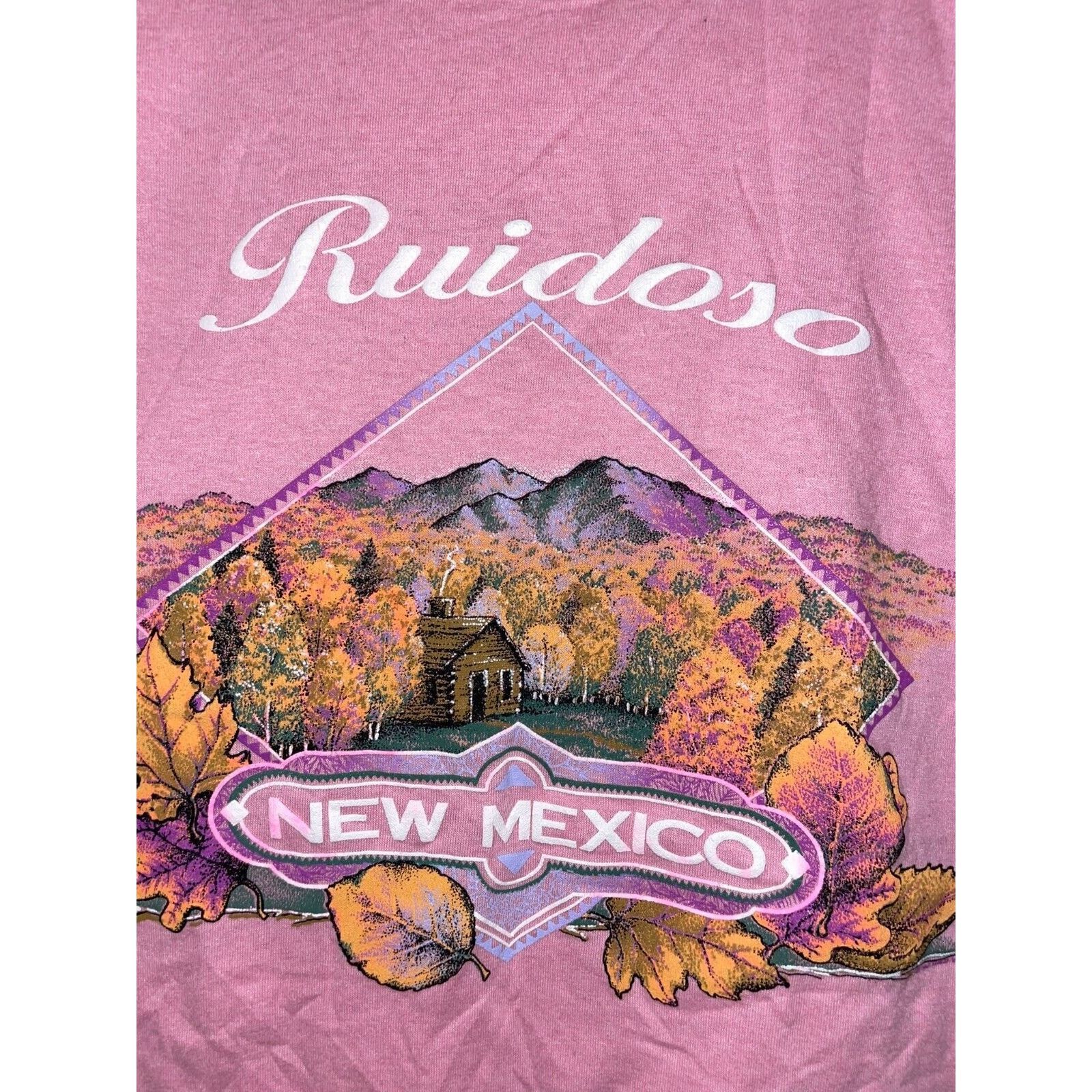 Jerzees Vintage Ruidoso New Mexico Shirt Fall Leaves Tree Tee VTG L Size US L / EU 52-54 / 3 - 2 Thumbnail
