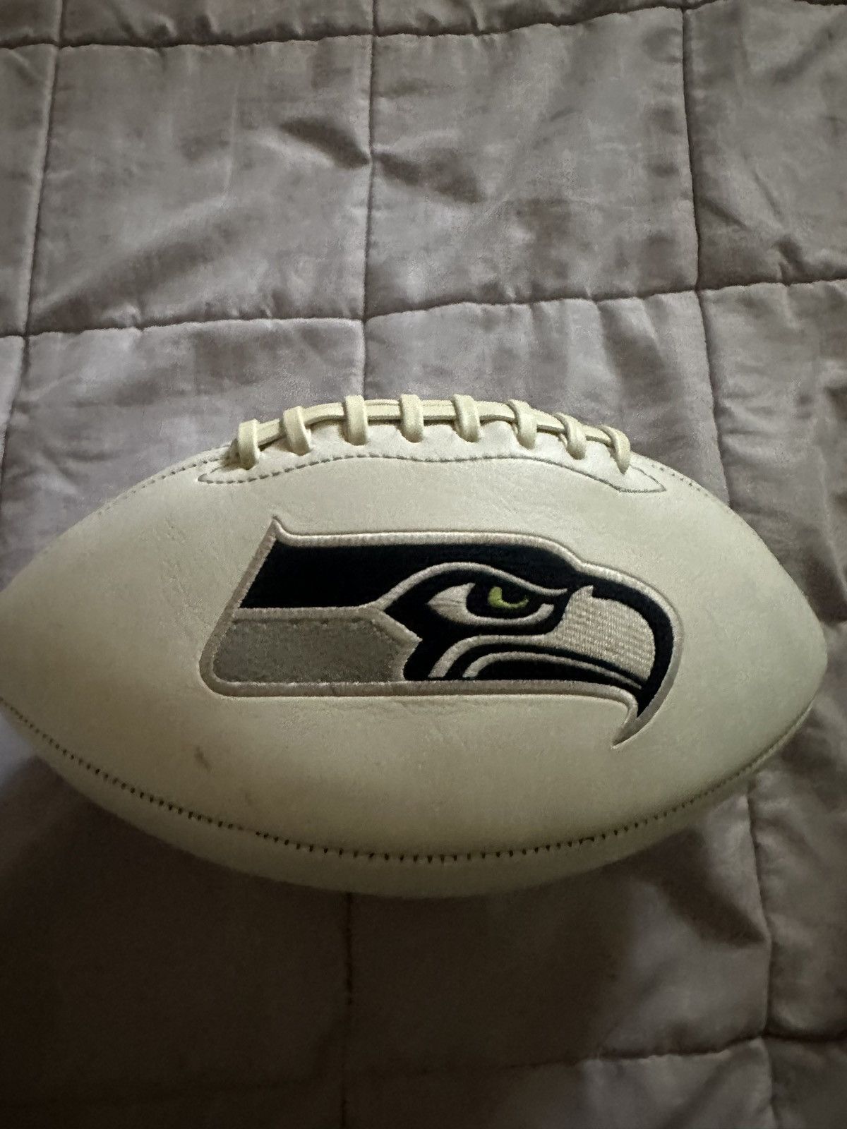 NFL Seattle Seahawks Super Bowl Football Collectable Size ONE SIZE - 2 Thumbnail