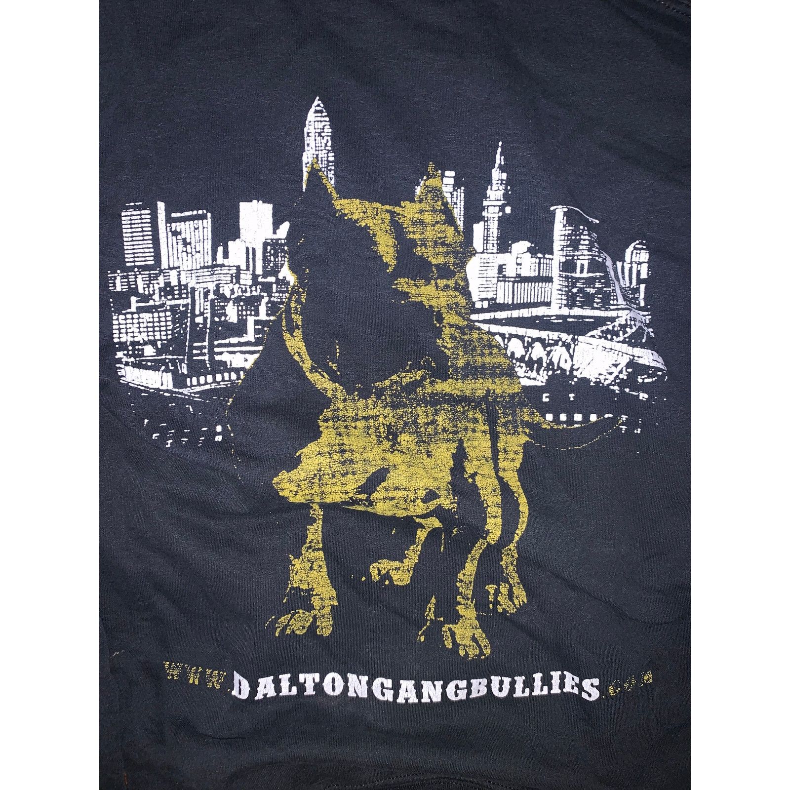 Other Dalton Gang Bullies DGB Hoodie All Over Print Distressed S Size US S / EU 44-46 / 1 - 4 Thumbnail