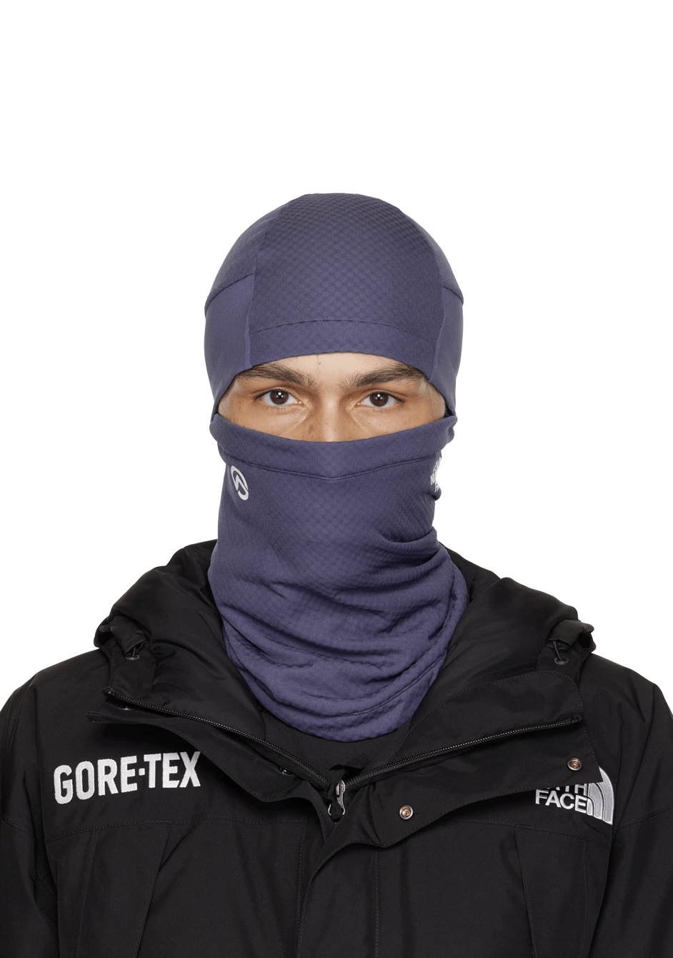 The North Face THE NORTH FACE Paneled Balaclava Mask S/M & L