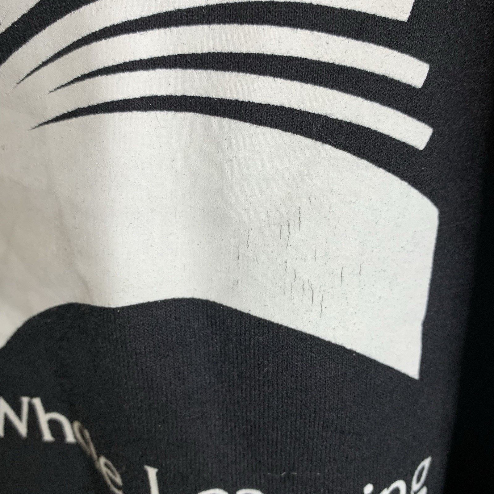 Champion Champion Academy Of Whole Learning Autism School Hoodie M Size US M / EU 48-50 / 2 - 6 Thumbnail