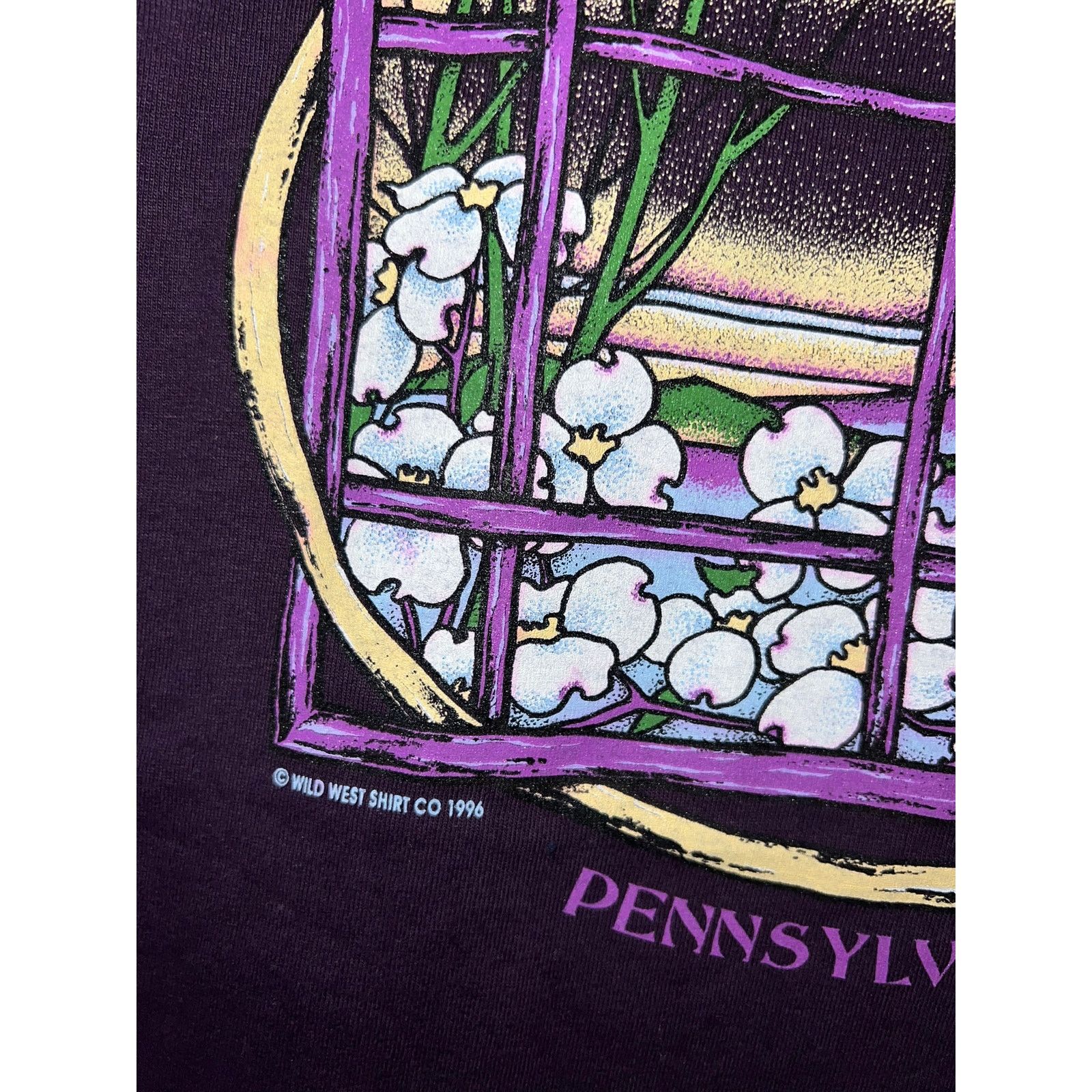 Jerzees Vintage Pocono Mountains Shirt Pennsylvania Tee VTG 90s L Size US L / EU 52-54 / 3 - 5 Thumbnail