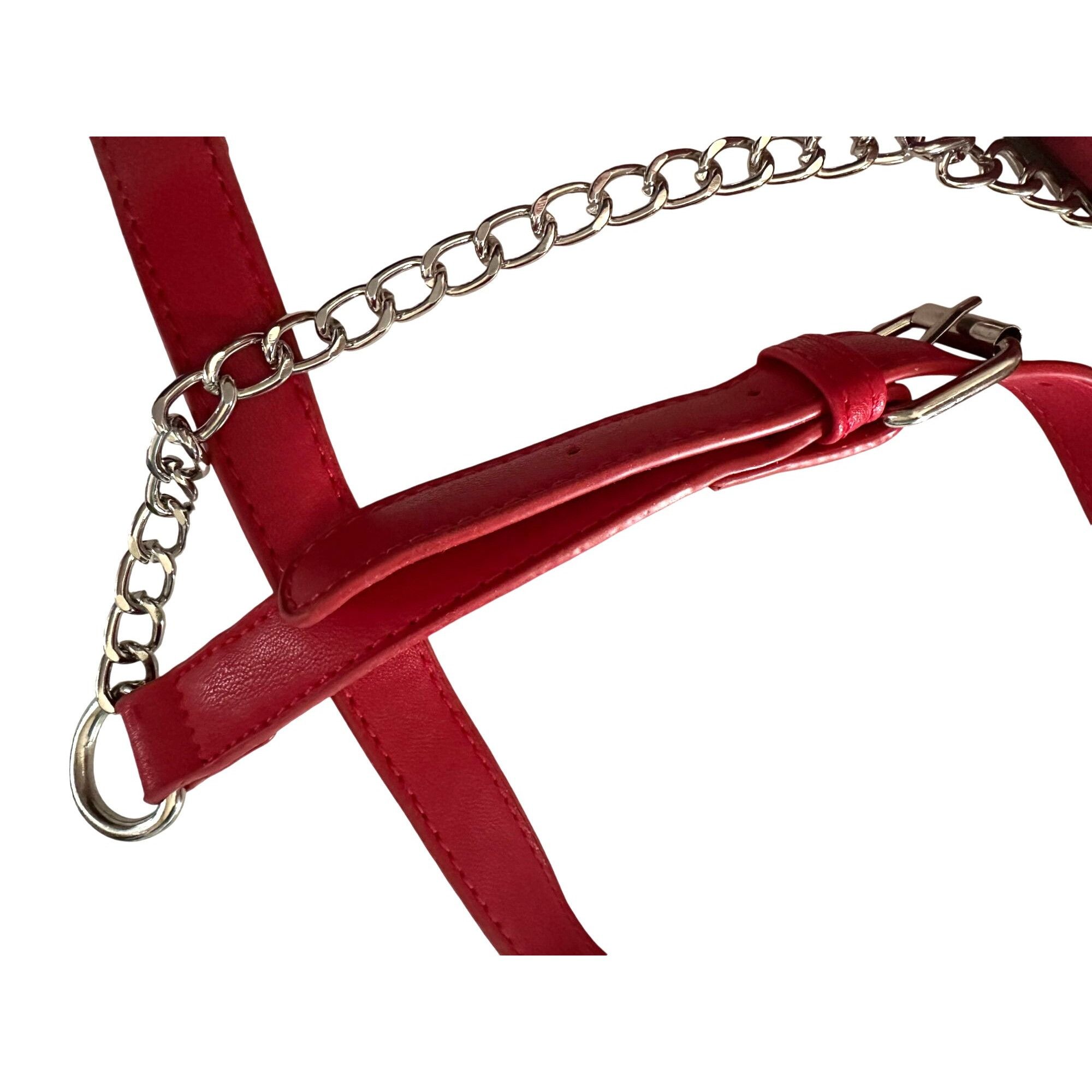 Badgley Mischka Cute & Fun Badgley Mishka Red Camera Crossbody Bag with Slip Size ONE SIZE - 5 Thumbnail