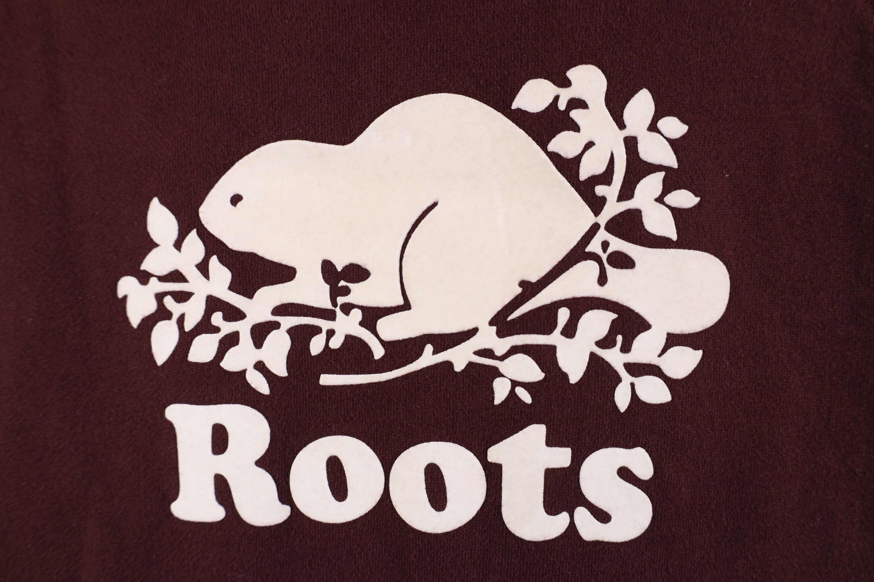 Vintage Vintage Y2K Roots Canada Spell Out Beaver Hoodie Sweatshirt Size S / US 4 / IT 40 - 5 Thumbnail