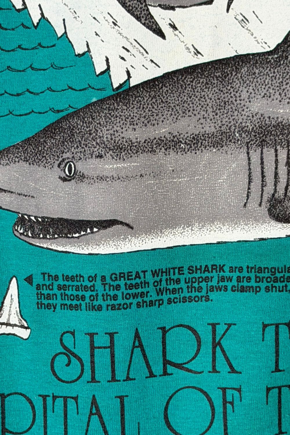 Hanes Vintage 90s Venice Beach Shark Tooth Graphic Tee USA Single Size US L / EU 52-54 / 3 - 6 Thumbnail