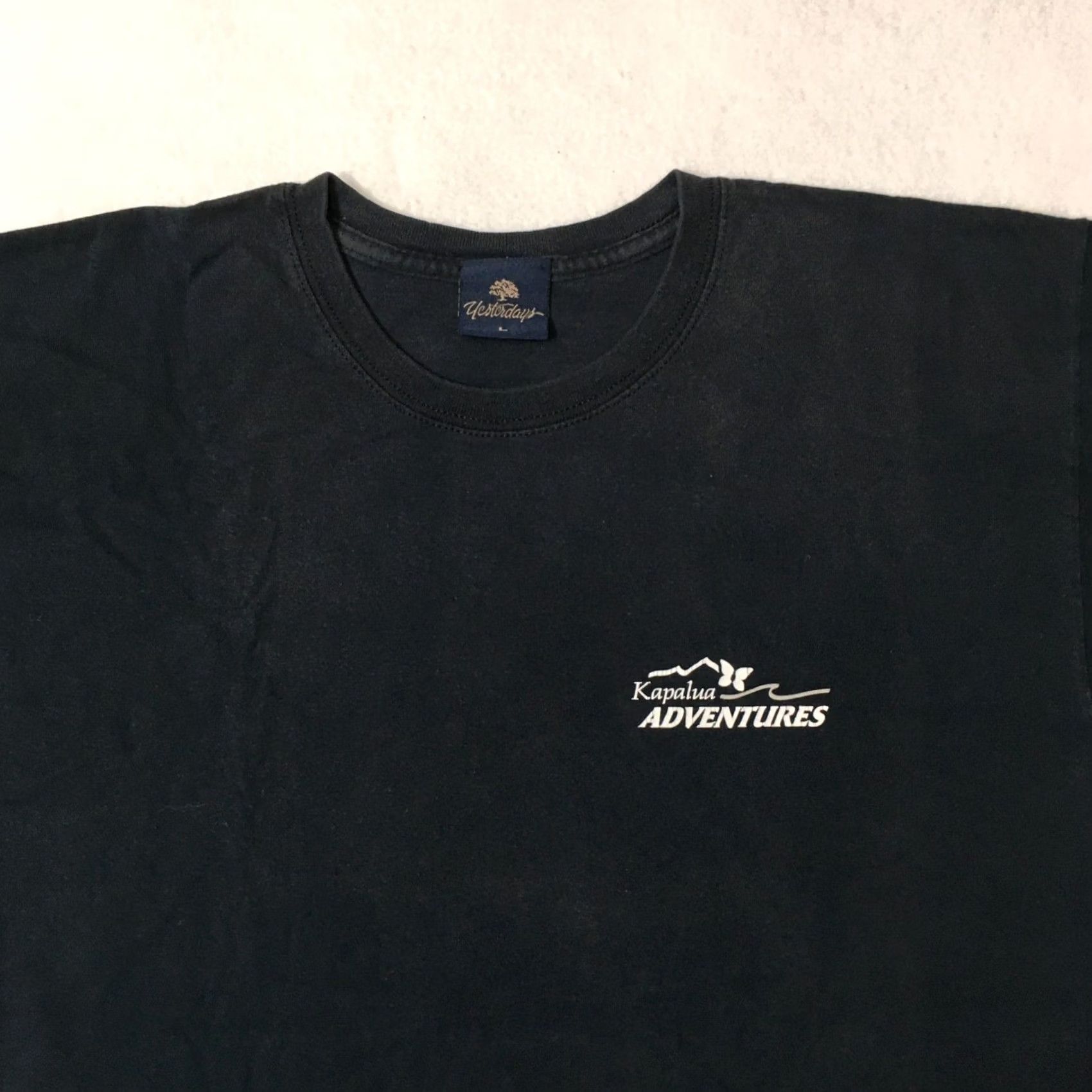Vintage Kapalua RESORT LARGE COTTON USA T-SHIRT DESIGN COMMON GROUND Men T-Shirt Blue Vintage M USA Cotton Hawaiian Shirt Cut Crew Neck Short Sleeve Size US M / EU 48-50 / 2 - 7 Thumbnail
