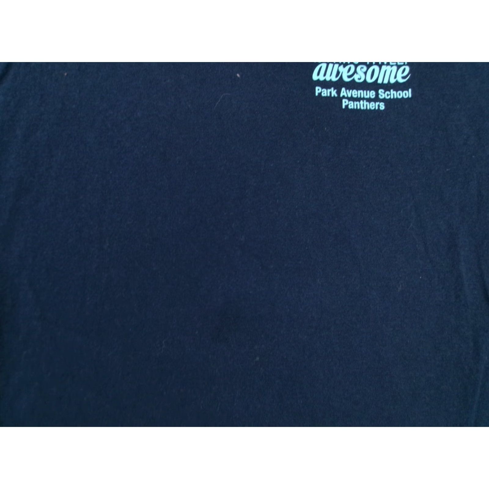 Gildan GILDAN Graphic Print School T-Shirt Men Medium Blue "Our Staff Is Paws Itively Awesome" Classic Crew Neck Short Sleeve Size US M / EU 48-50 / 2 - 3 Thumbnail