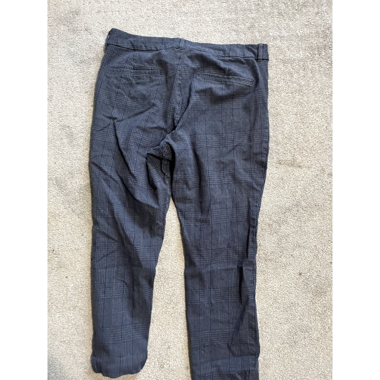 Old Navy Old Navy Blue Plaid Pixie Skinny High-Rise Ankle Pants Women Size 14 Pockets Size 36" / US 14 / IT 50 - 3 Thumbnail