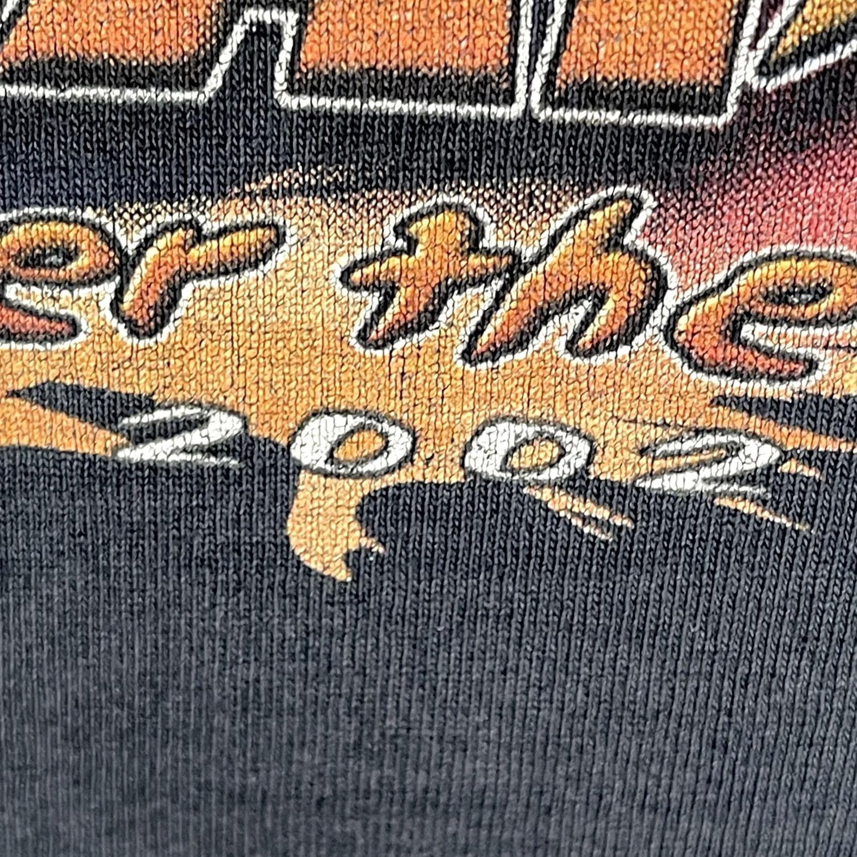 Fruit Of The Loom VINTAGE Fruit of the Loom Shirt Mens Large Black US Flat Track 2002 Motorcycle Racing Graphic Tee Size US L / EU 52-54 / 3 - 5 Thumbnail