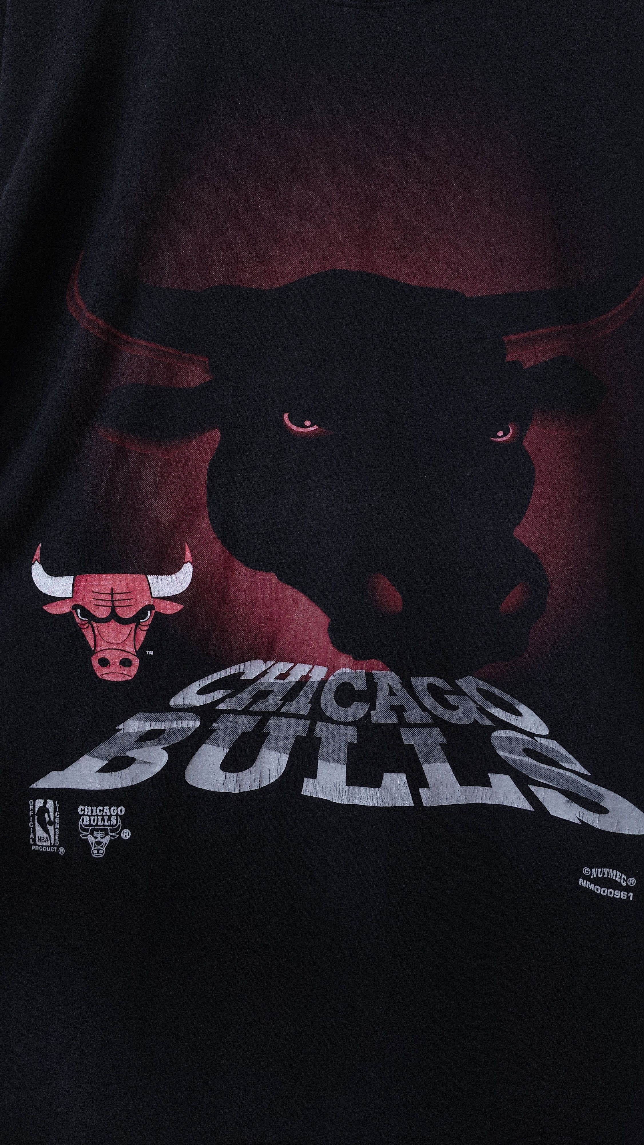 Nutmeg Chicago Bulls Nutmeg Mills Windy City Vintage 90s NBA Tshirt Size US XL / EU 56 / 4 - 6 Thumbnail