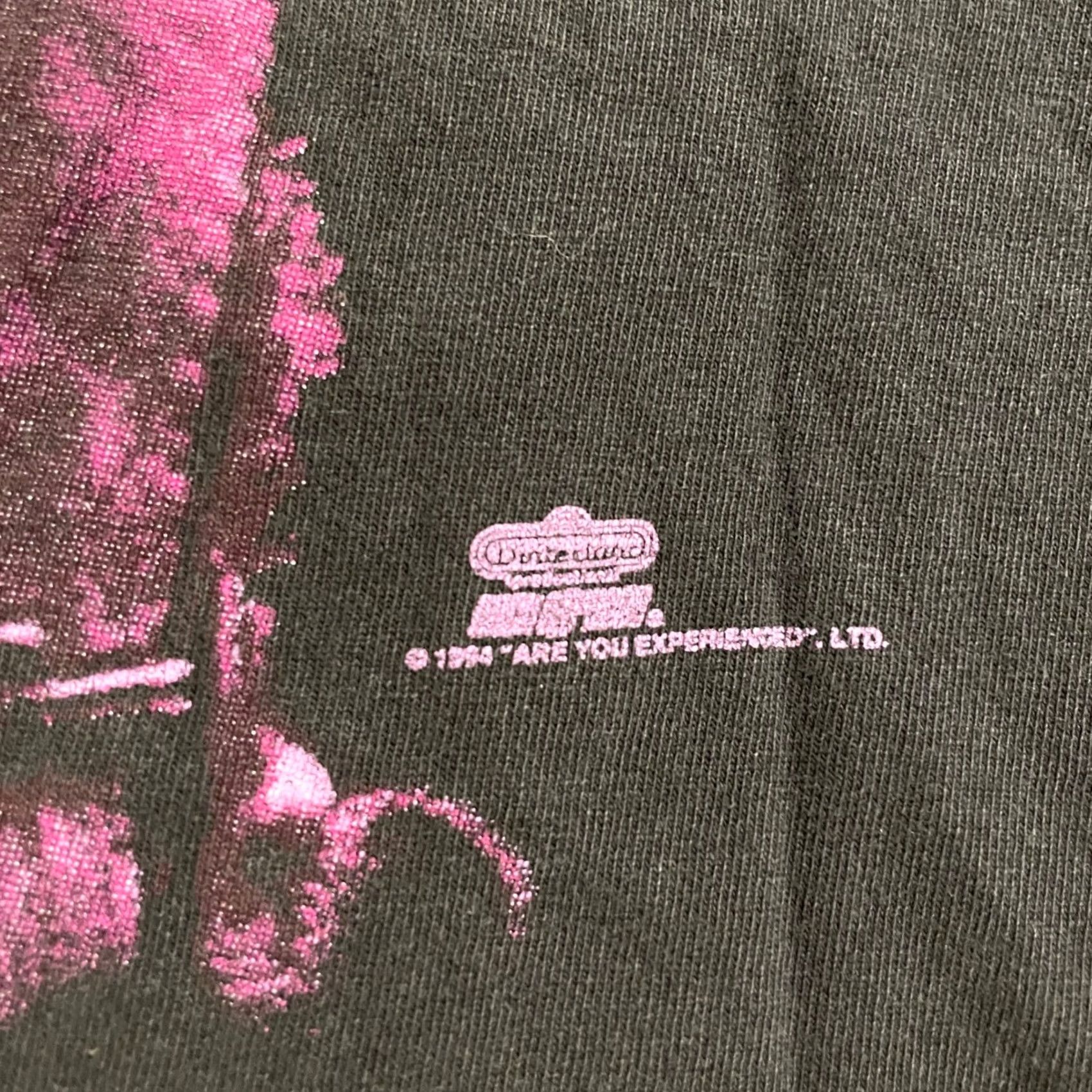 Hanes VINTAGE 1994 Jimi Hendrix Are You Experienced T-Shirt Hanes Winterland L Black Unisex Short Sleeve Graphic Tee 1990s Grunge Mens Womens Size US L / EU 52-54 / 3 - 4 Thumbnail