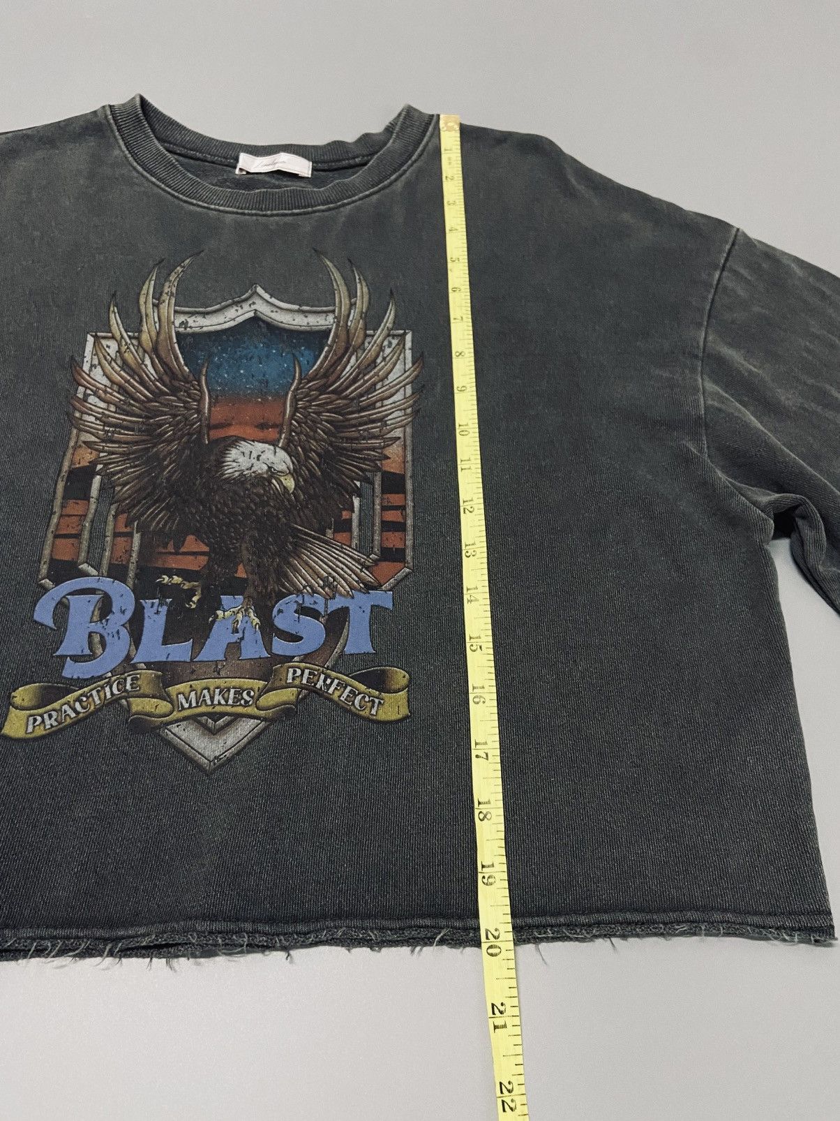 Other BLAST Eagle Graphic Cropped CREW NECK SWEATSHIRT Size M / US 6-8 / IT 42-44 - 7 Thumbnail