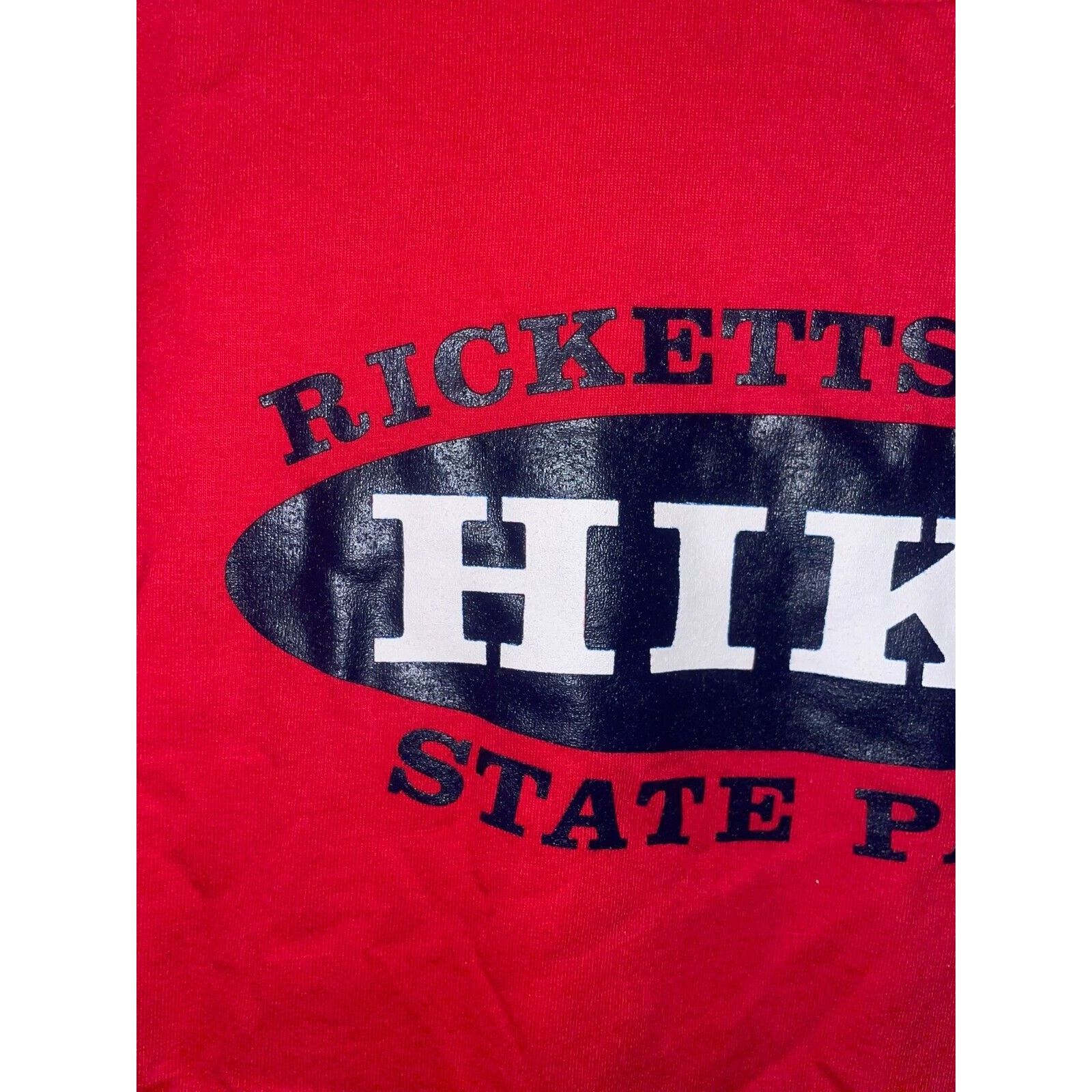Jerzees Vintage Ricketts Glen State Park Shirt Tee Hike Red VTG 90s Size US L / EU 52-54 / 3 - 2 Thumbnail