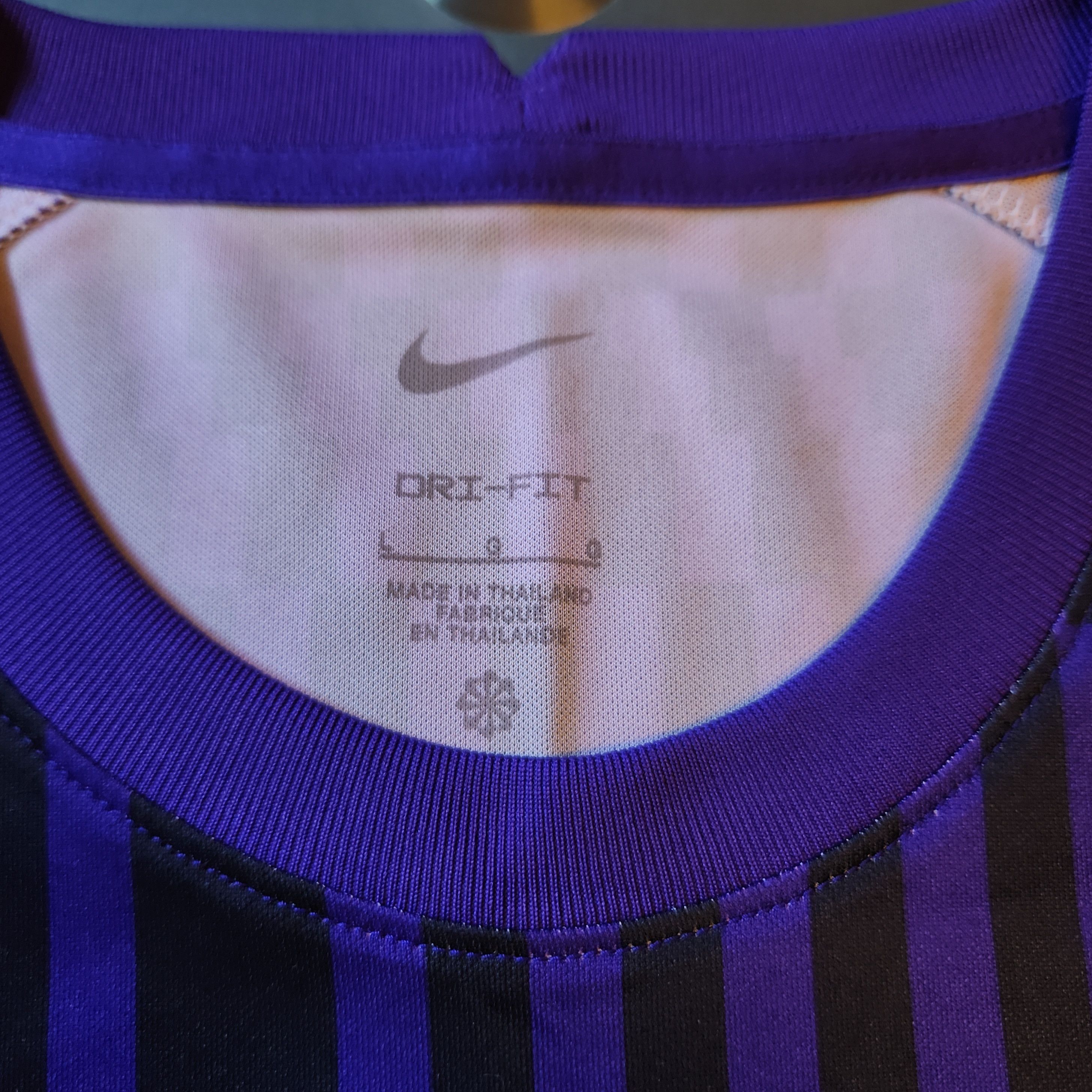Nike Authentic Sanfrecce Hiroshima 2022-2023 Pre-match Training Size US L / EU 52-54 / 3 - 4 Thumbnail