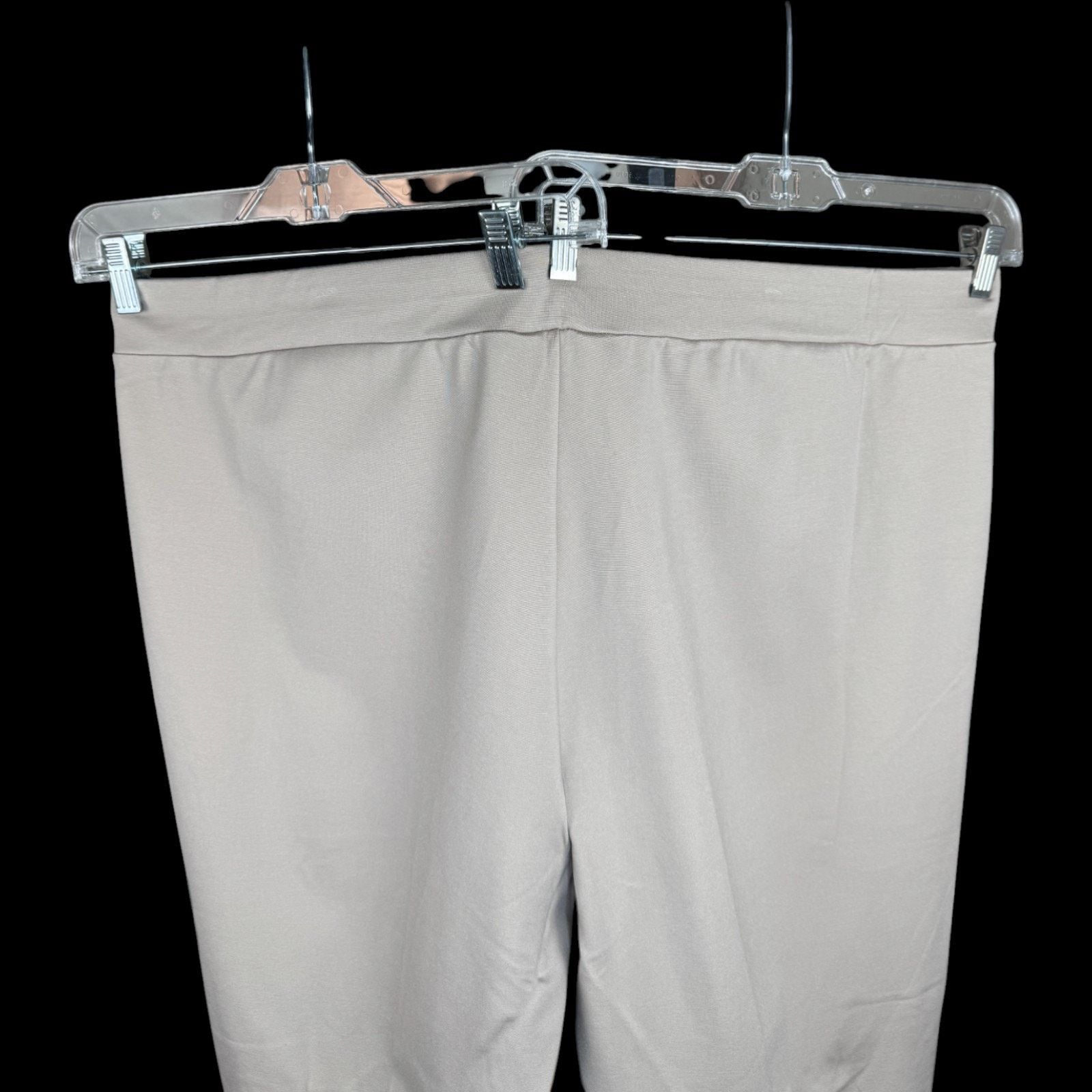 Other SUSAN GRAVER Everyday Slim Leg Pants Beige Stretch 3X NWT Size 36" / US 14 / IT 50 - 2 Thumbnail