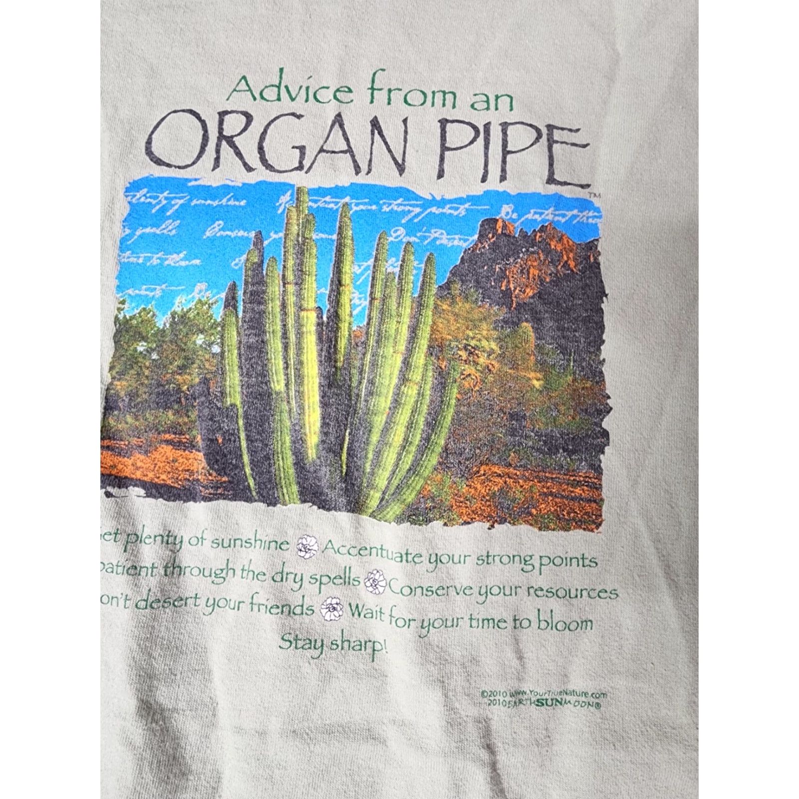 Hanes Vintage Advice From Oregon Pipe Cactus T-Shirt Men XL Green Retro 70s 80s 90s Size US XL / EU 56 / 4 - 4 Thumbnail