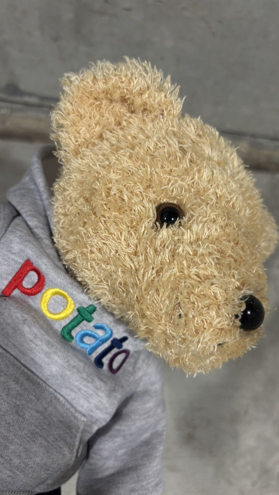 Imran Potato Imran Potato Talking Bear Plush Size ONE SIZE - 6 Thumbnail