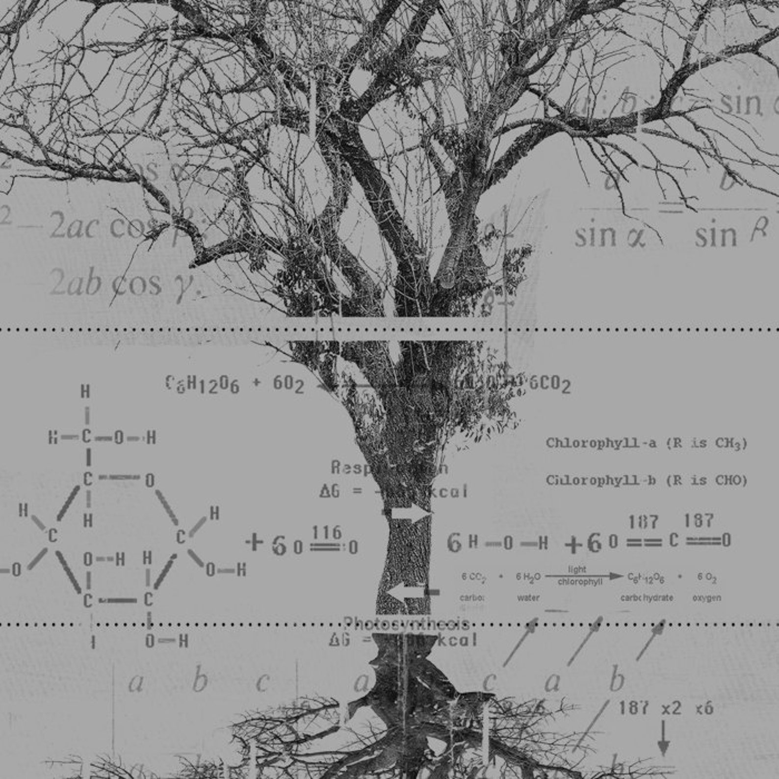 Designer × Vintage Heather Gray Tree Diagram T-Shirt | Nature Graphic Tee Size US L / EU 52-54 / 3 - 2 Thumbnail
