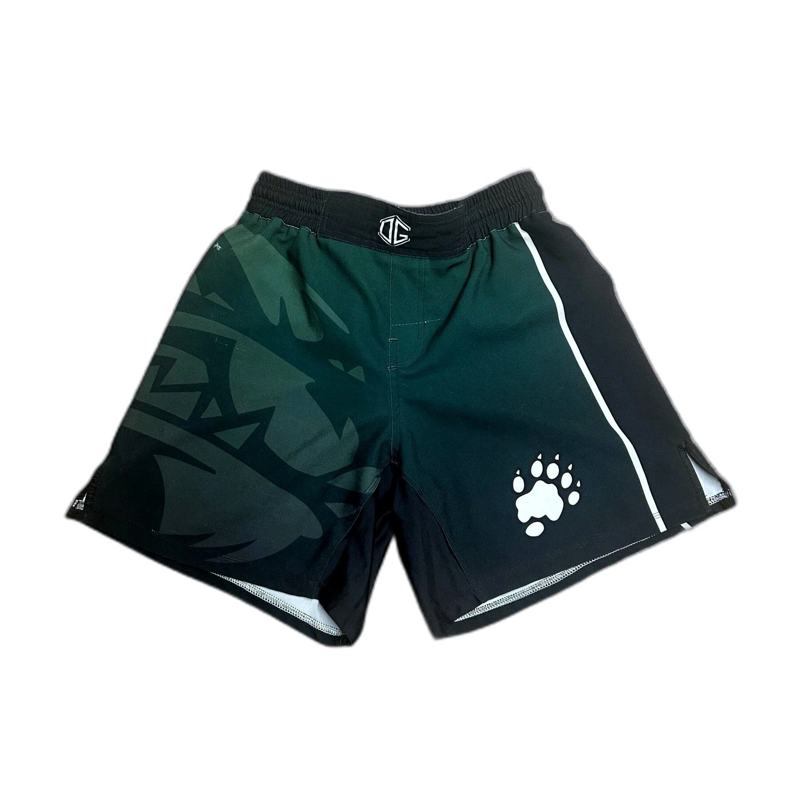 The Unbranded Brand OG Wrestling Fighting Shorts Rash Guard Green Mens Large (Ch Size US 26 / EU 42 - 7 Thumbnail