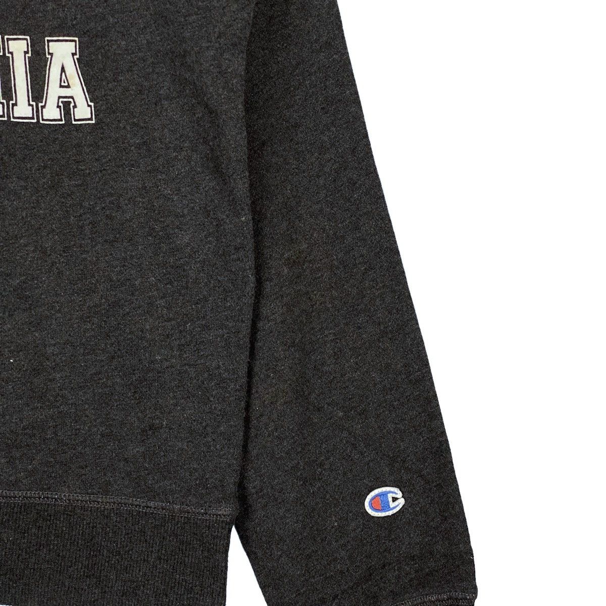 Champion × Vintage Vintage Champion Printed Crewneck Sweatshirt Dark Gray Size US M / EU 48-50 / 2 - 4 Thumbnail