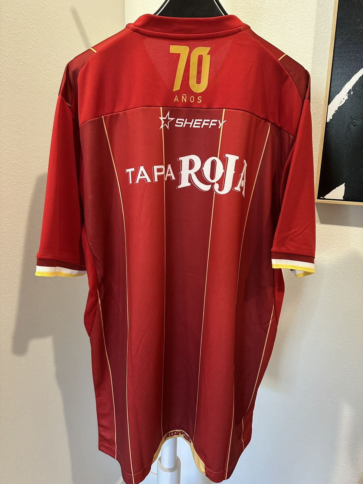 Other 2024-25 Deportes Tolima Soccer Jersey Size US XL / EU 56 / 4 - 2 Thumbnail