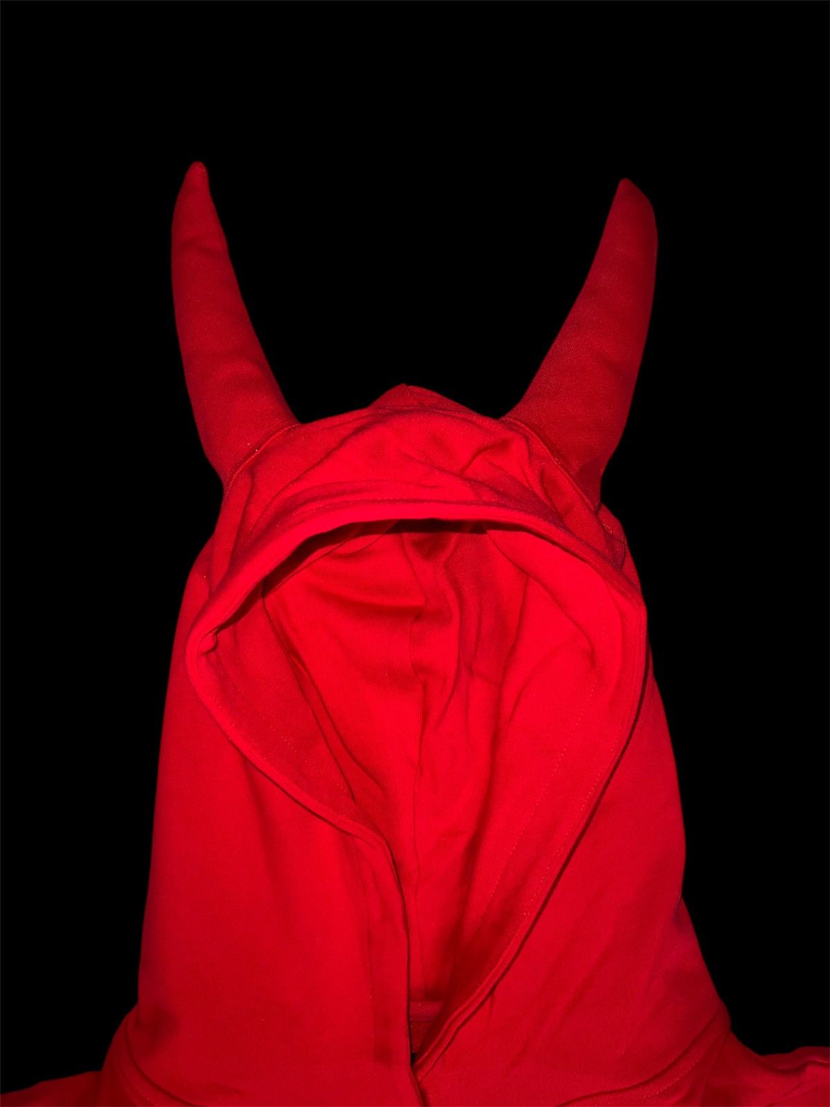 Droland Miller DROLAND MILLER V6 HORNED DEMON HOODIE Size US M / EU 48-50 / 2 - 2 Thumbnail
