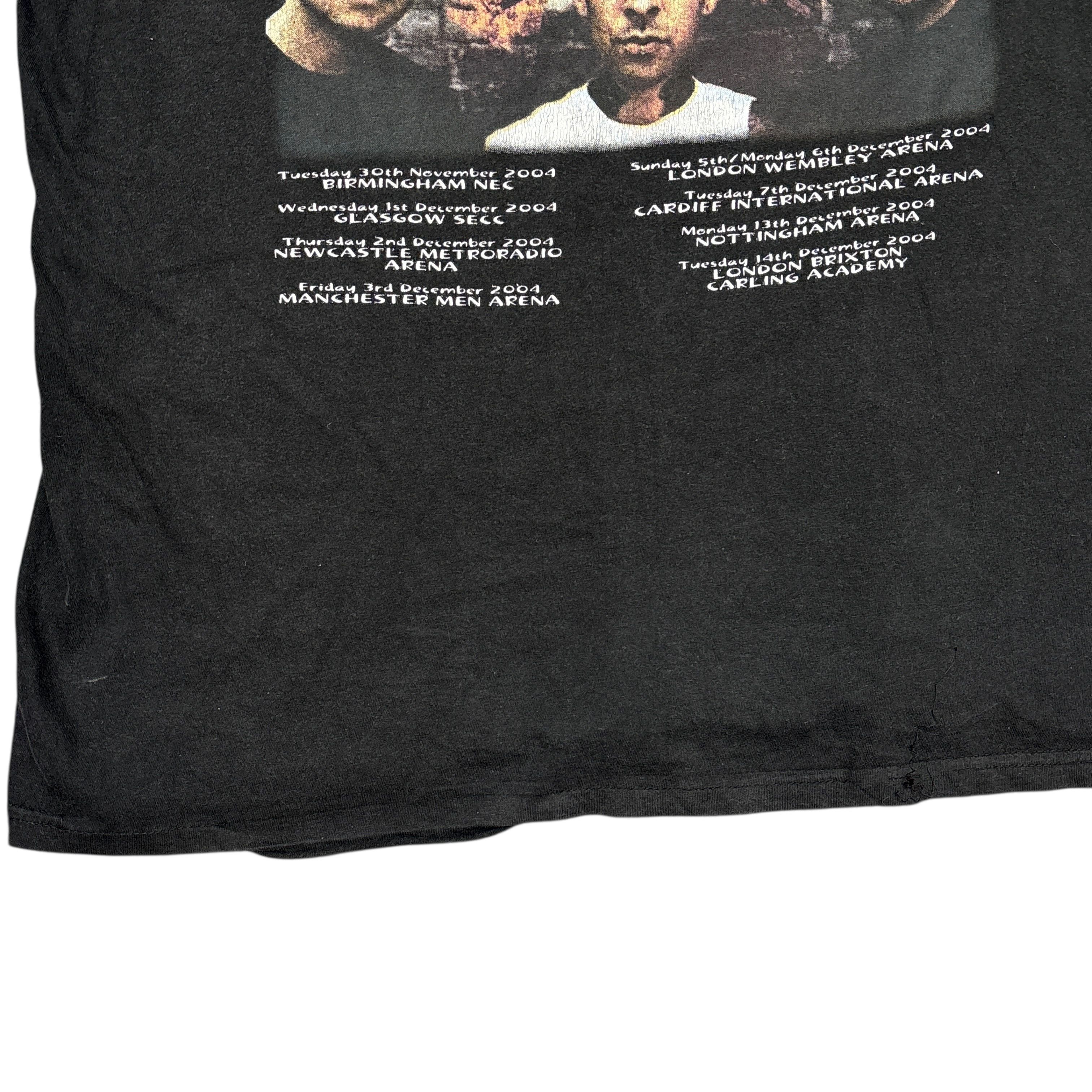 Band Tees Vintage Blink 182 Shirt Y2K Tour Punk Rock Band Tee Size US L / EU 52-54 / 3 - 18 Thumbnail