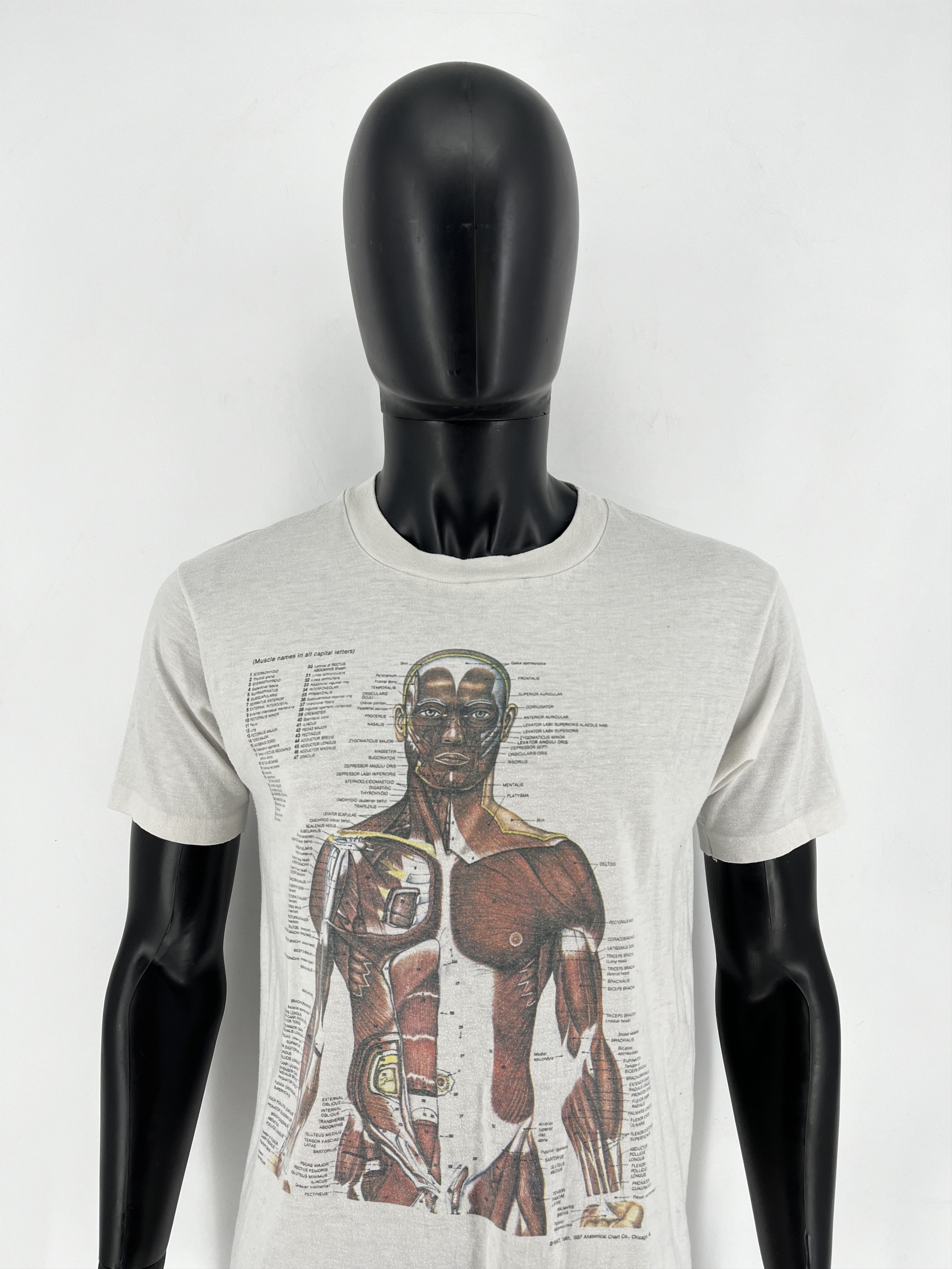 Nirvana Anatomy Muscle Shirt Same Print as Kurt Cobain Rare Medical Size US L / EU 52-54 / 3 - 1 Thumbnail