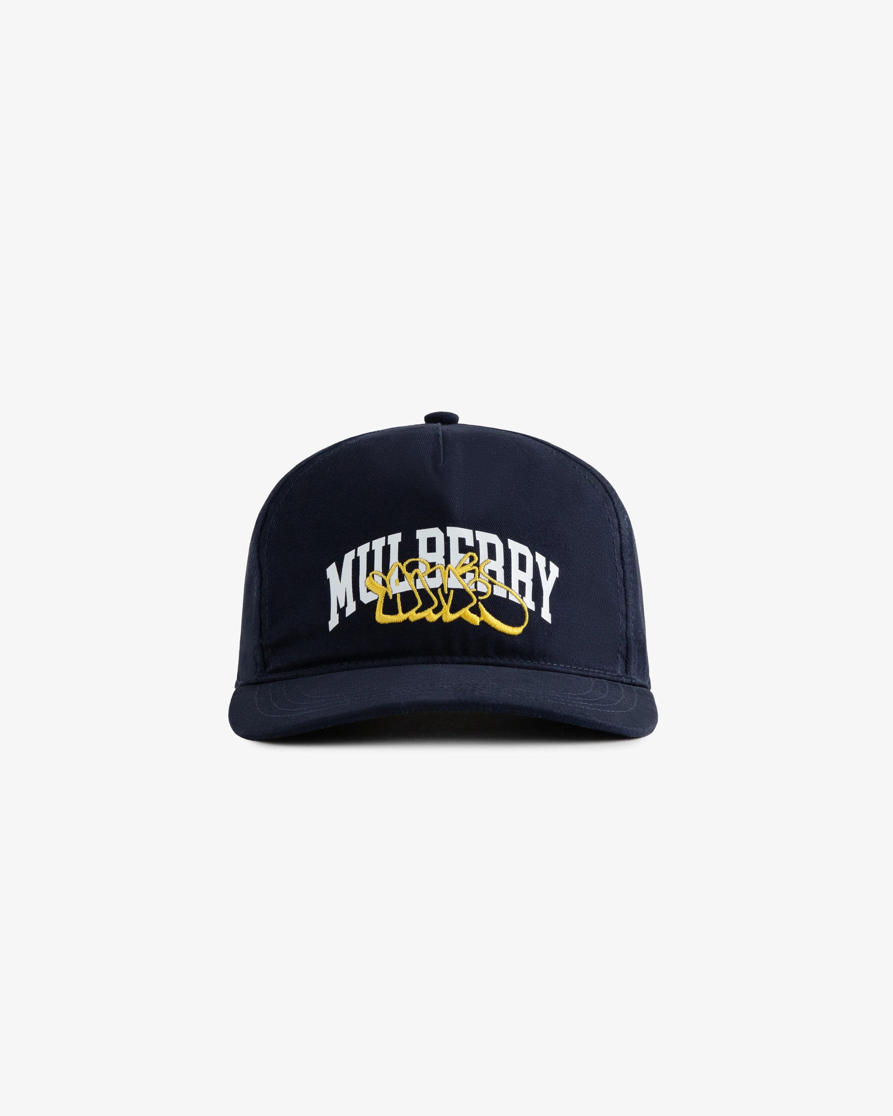Aime Leon Dore Mulberry Throwie Hat Size ONE SIZE - 2 Thumbnail
