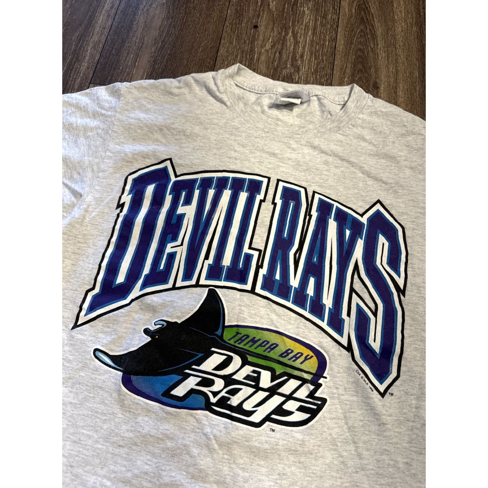 MLB VINTAGE 1998 MLB Tampa Bay Devil Rays Grey T-Shirt Medium Men M Gray Shirt Size US M / EU 48-50 / 2 - 3 Thumbnail