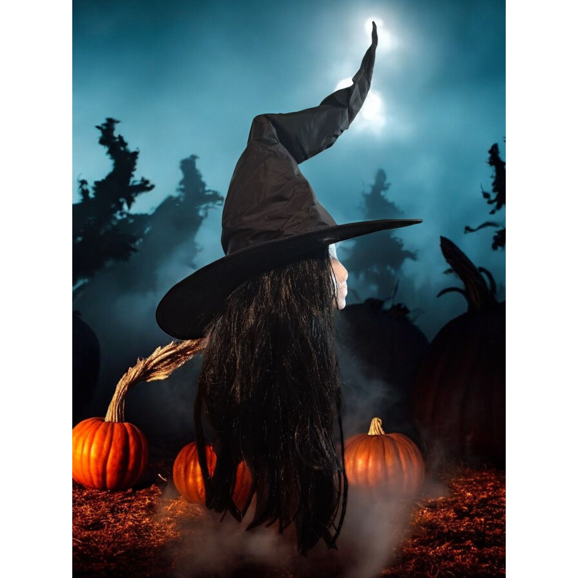 Other Adult Unisex Witch Dracula Halloween Costume Size Large Size US L / EU 52-54 / 3 - 16 Thumbnail