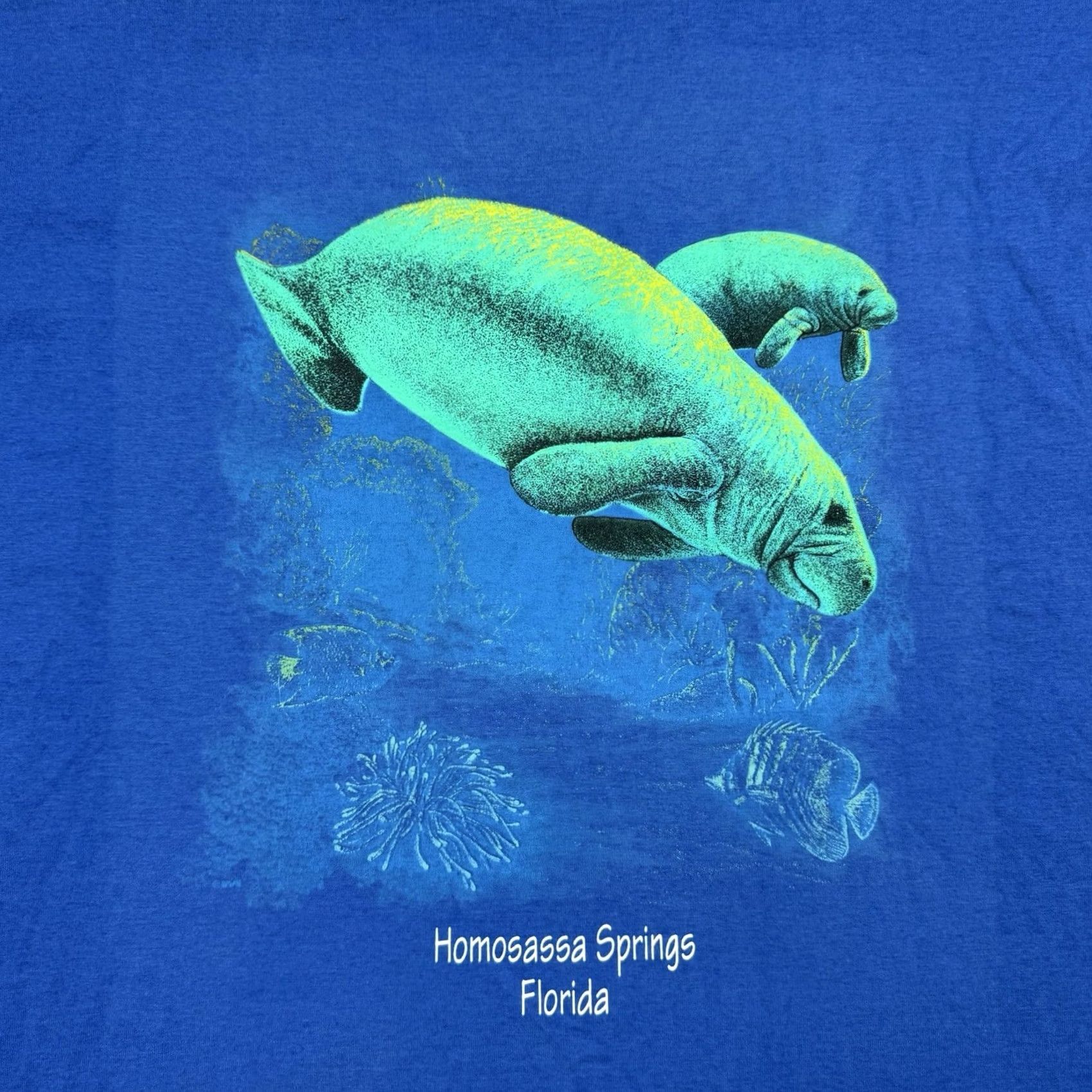 Vintage VINTAGE Manatee T Shirt Adult XL Nature Ocean River Homosassa Spring 90s Y2K Mens Blue Cotton Short Sleeve Crew Neck Shirt Size US XL / EU 56 / 4 - 2 Thumbnail