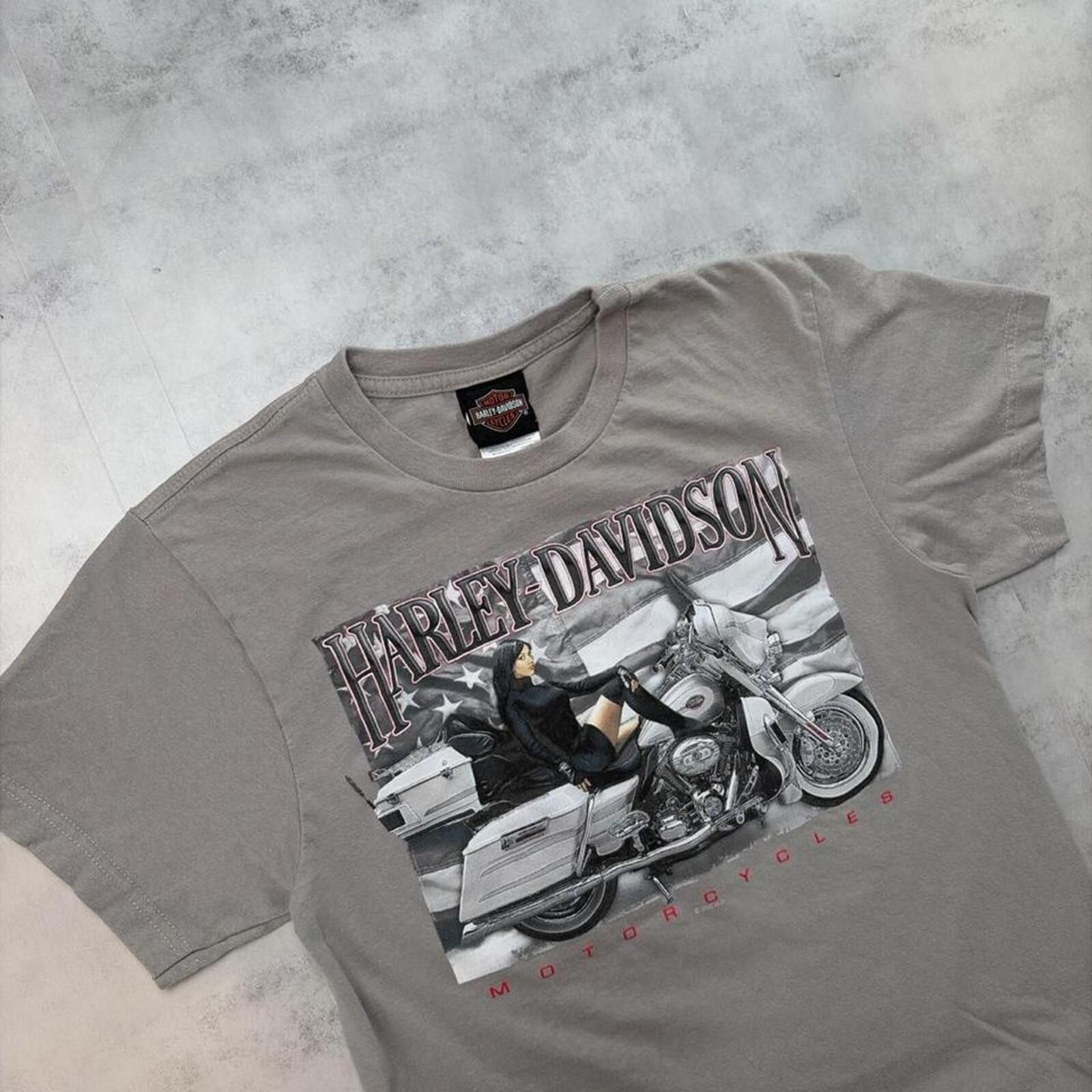 Harley Davidson Y2K Grey Harley Davidson Grunge Rocky Mountain Biker T-Shirt Size US S / EU 44-46 / 1 - 6 Thumbnail