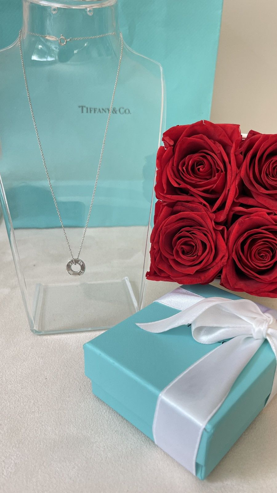 Tiffany & Co. Tiffany & Co. Atlas Circle Pendant Silver 16” inch NEW Size ONE SIZE - 7 Thumbnail
