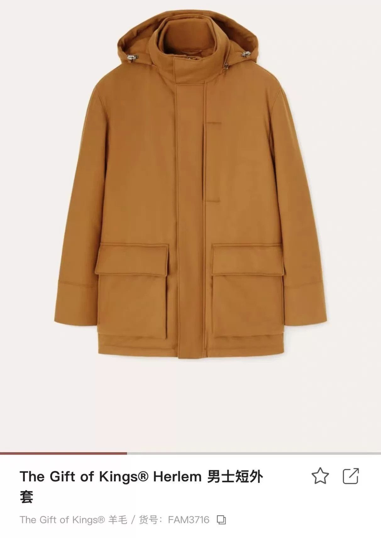 Loro Piana Loro Piana GOK Men's Hunting Jacket Size US L / EU 52-54 / 3 - 1 Thumbnail
