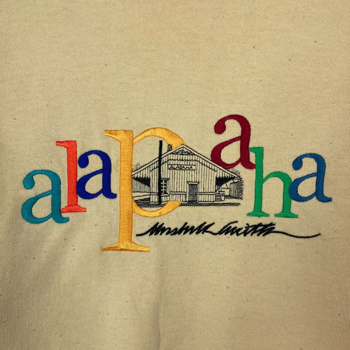 Hanes Vintage Hanes Alapaha Spell Out Pullover Jumper Sweatshirt Size US M / EU 48-50 / 2 - 3 Thumbnail