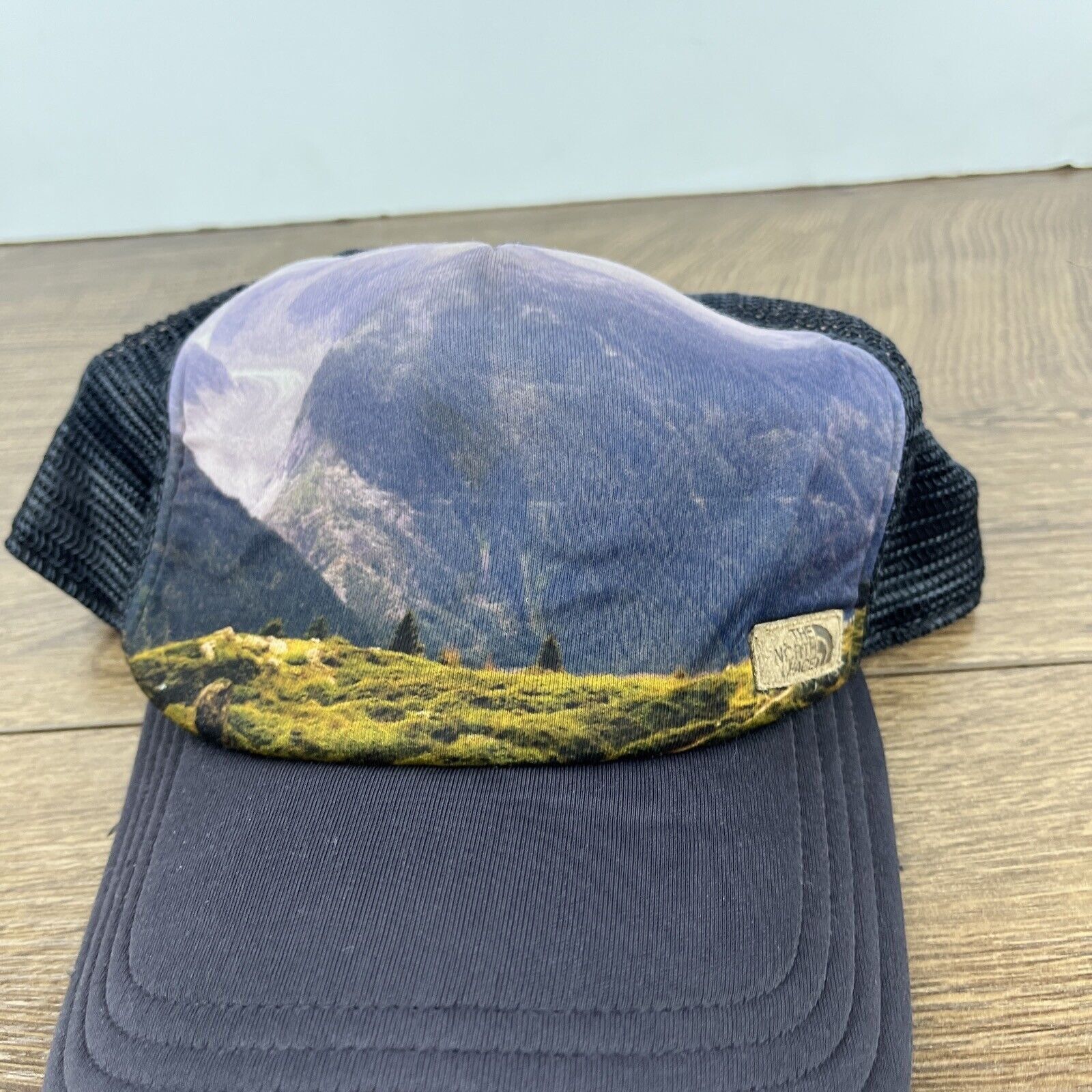 The North Face The North Face Hat Mountains Blue Hat Adjustable Adult Size Size ONE SIZE - 5 Thumbnail