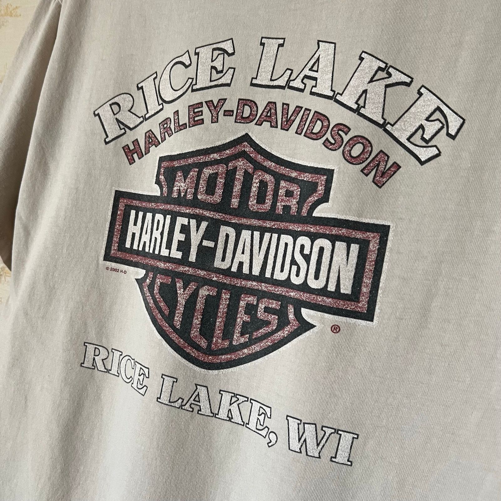 Harley Davidson 00s Distressed Harley Davidson T-Shirt | Rice Lake Wisconsin Size US L / EU 52-54 / 3 - 10 Thumbnail