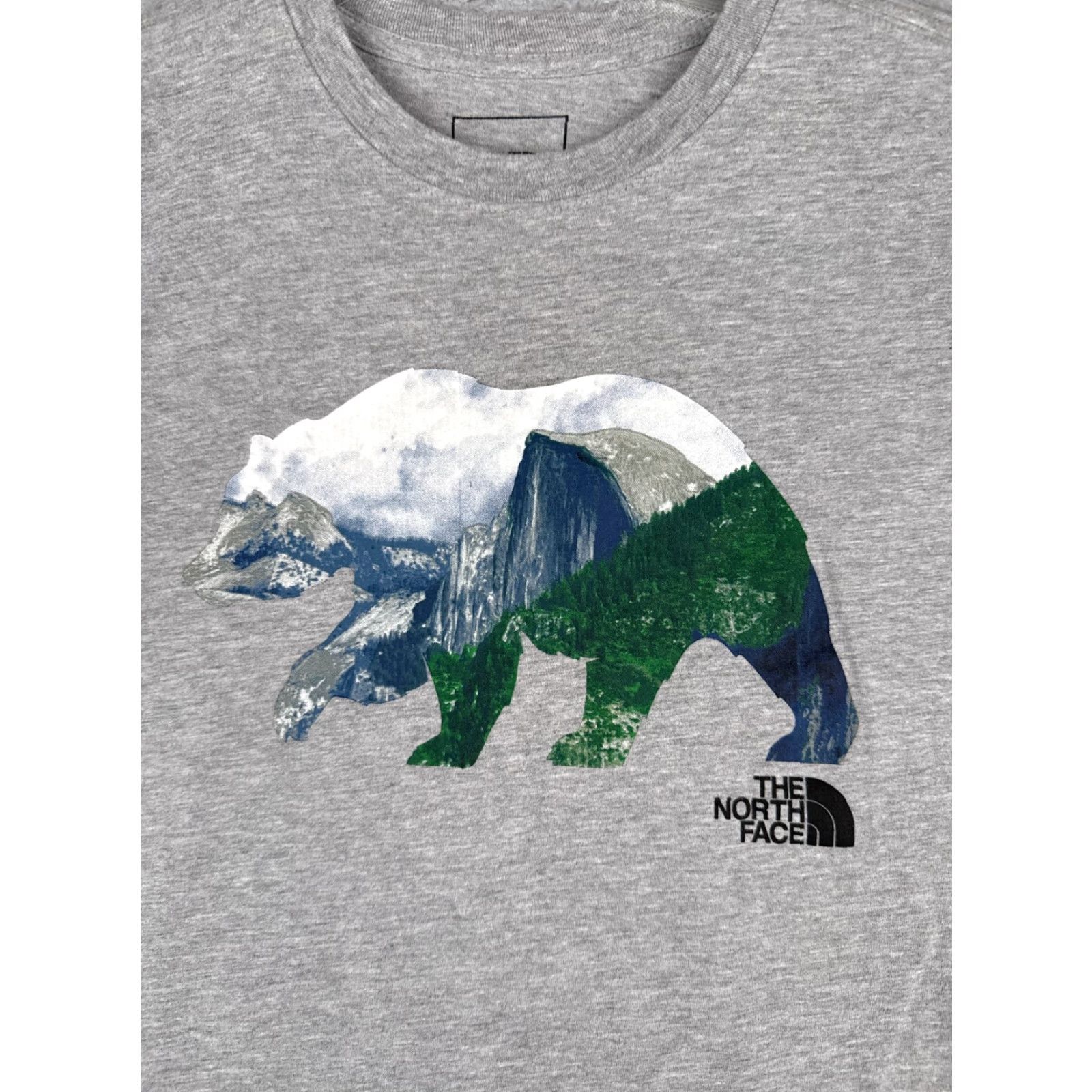 The North Face The North Face Shirt Men S Gray Crew Cotton Blend Logo Bear Half Dome T-Shirt Size US S / EU 44-46 / 1 - 6 Thumbnail
